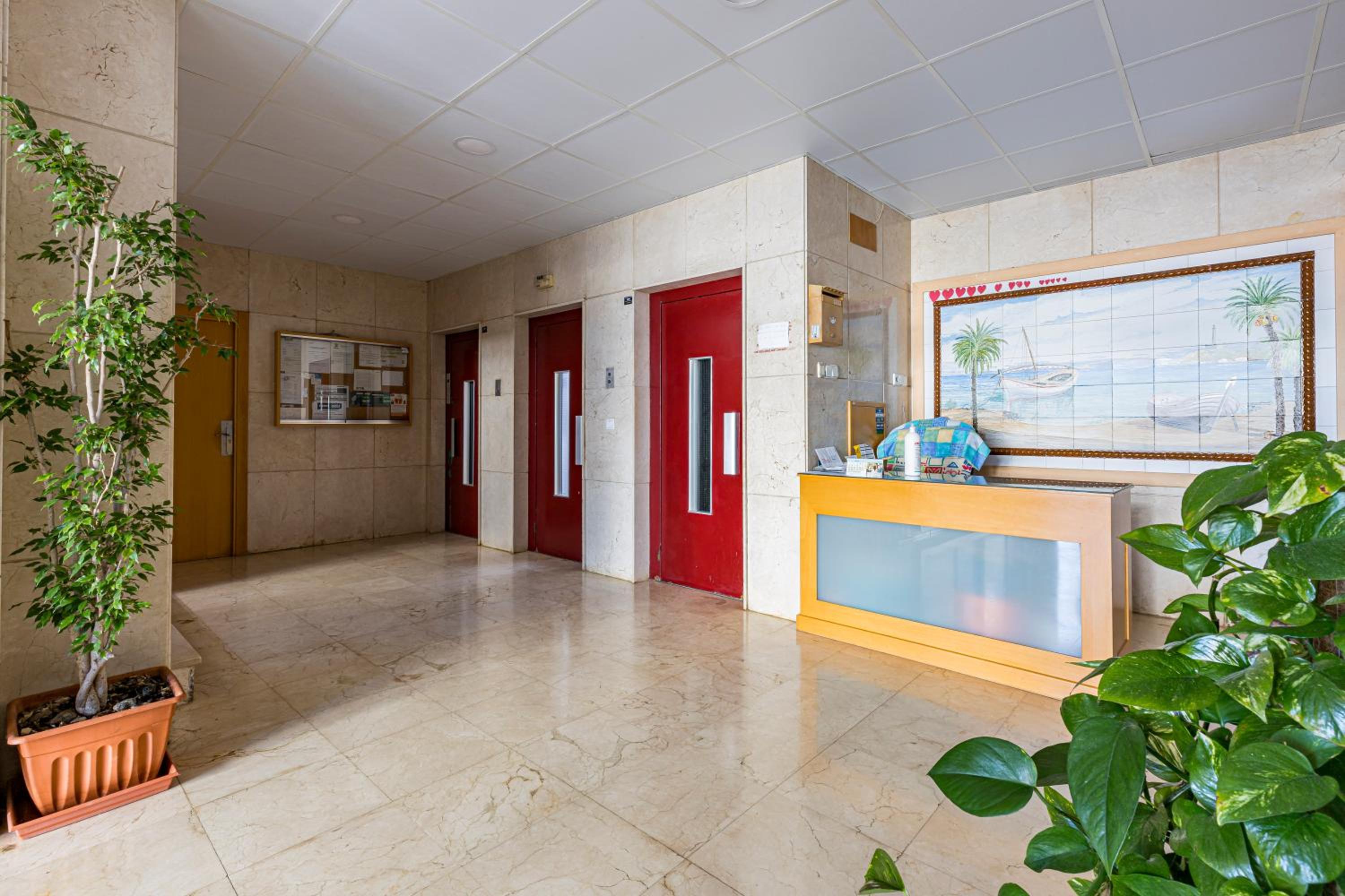 Studio Apartment photo 3