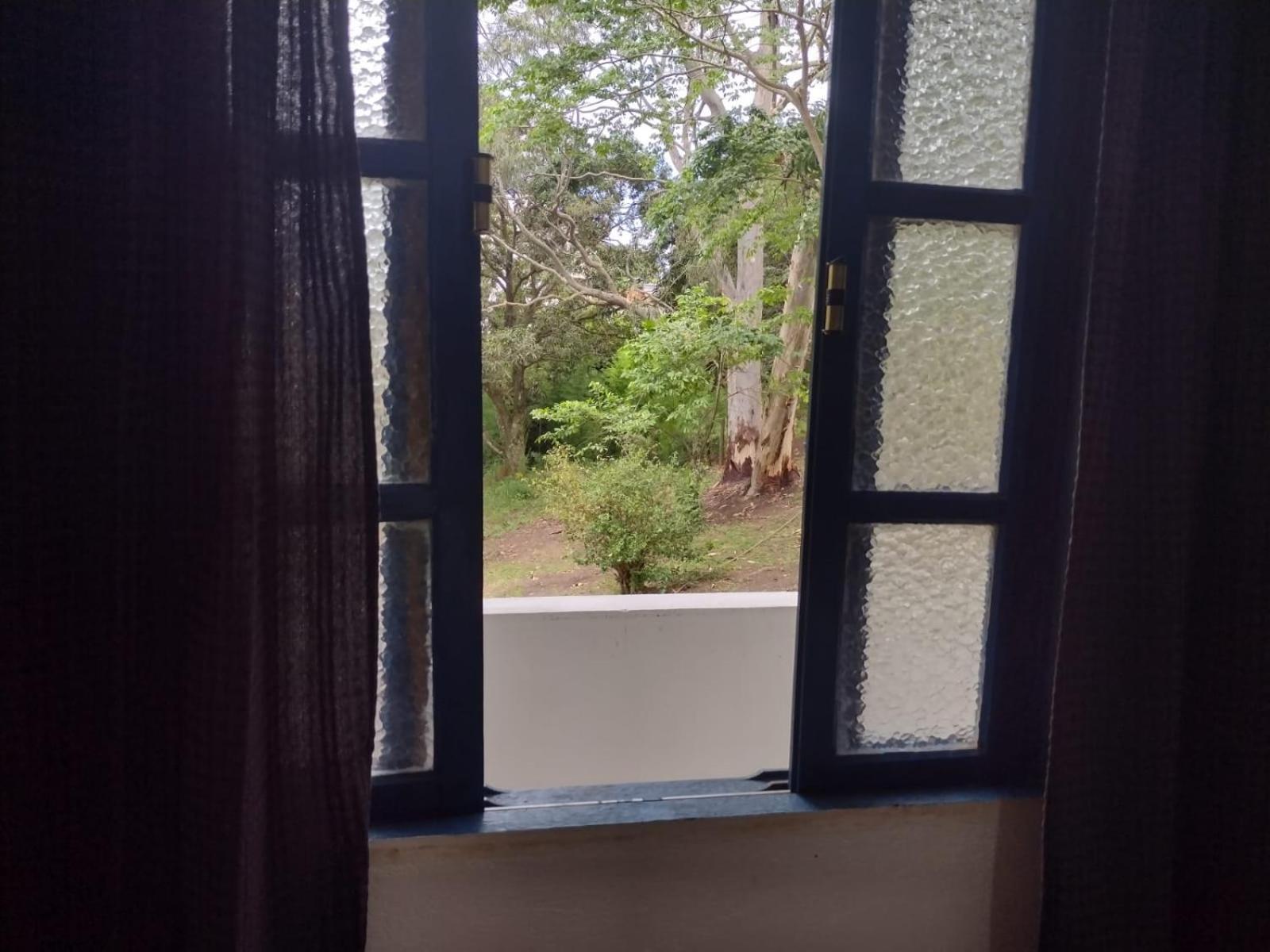Single Room With Shared Bathroom photo 3