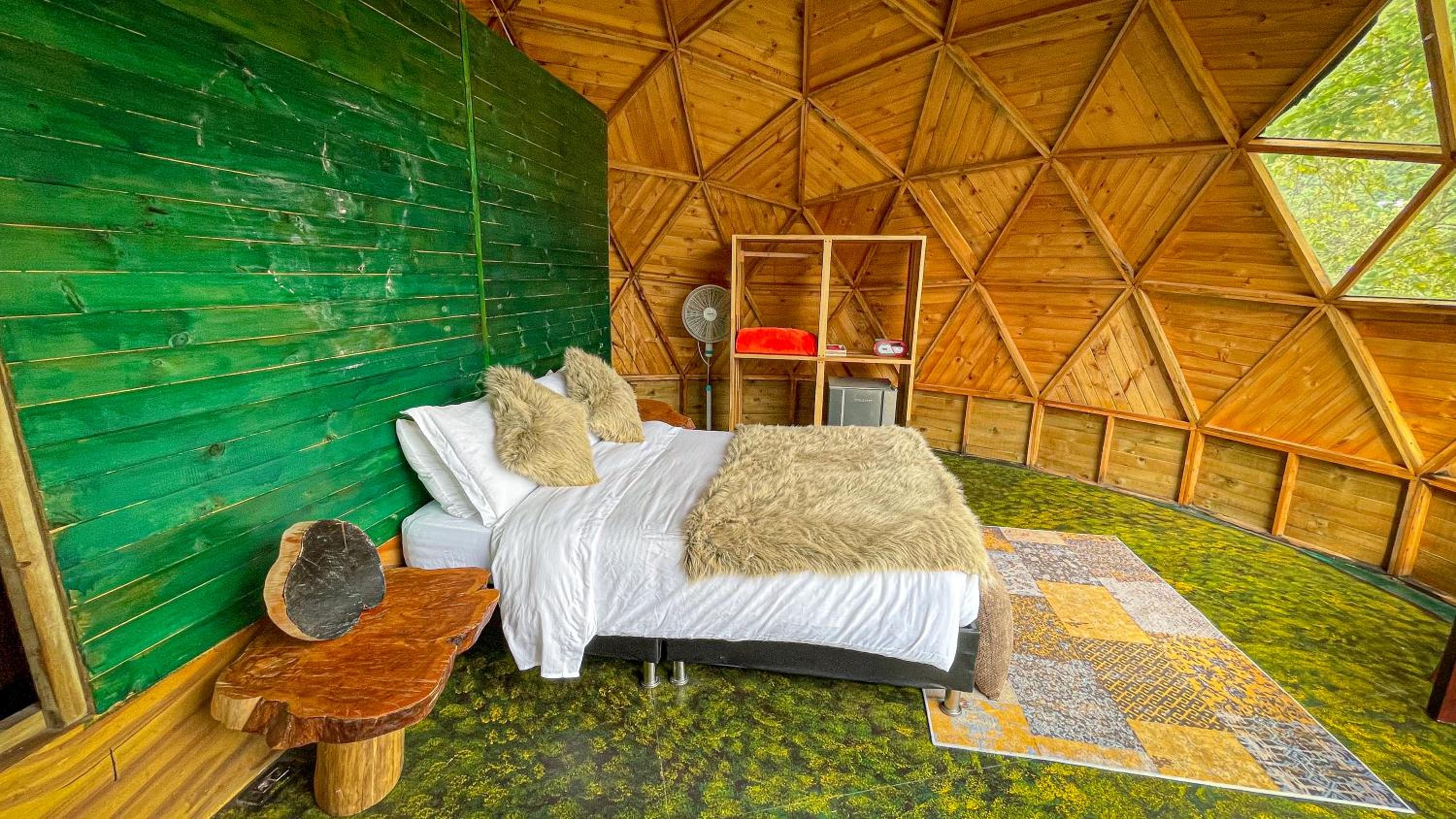 Double Room photo 2