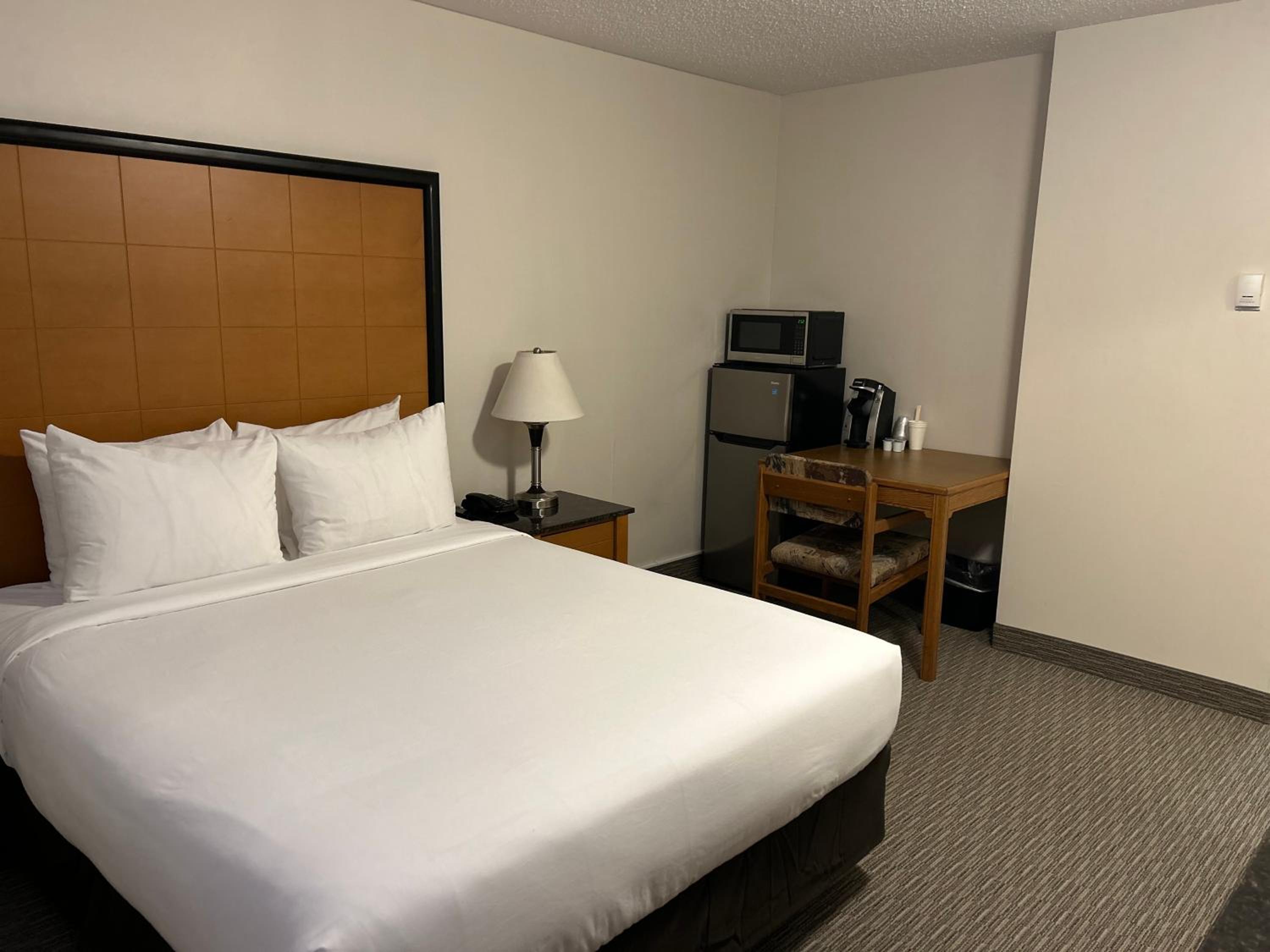 Deluxe Single Room photo 3