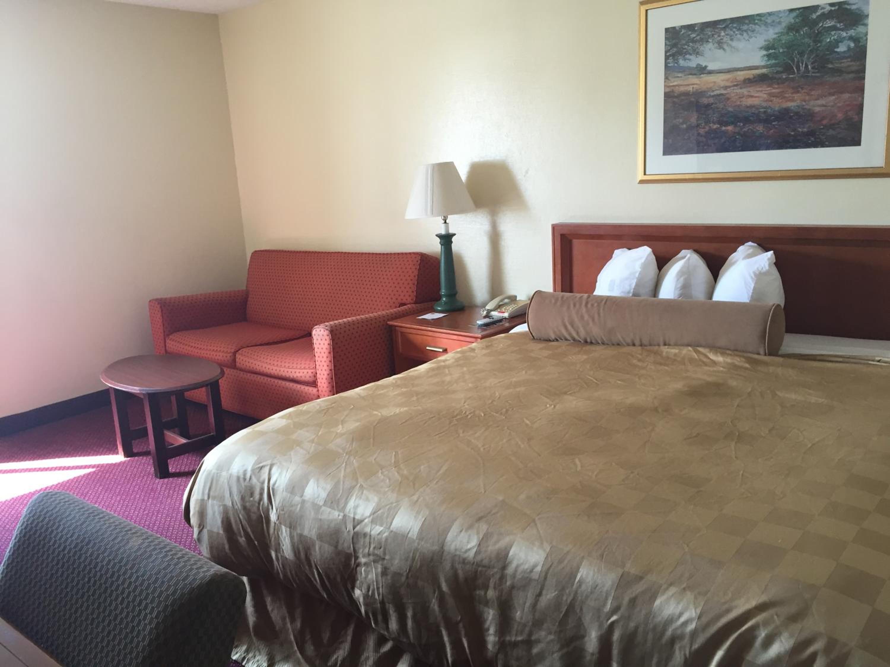King Room - Non-Smoking - Photo 5