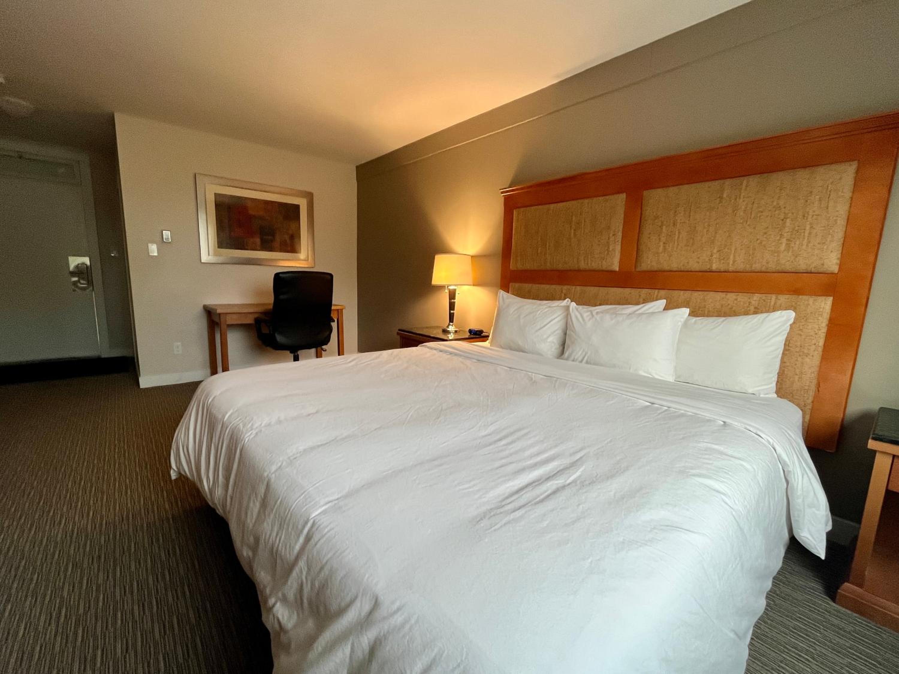 King Suite - Photo 14