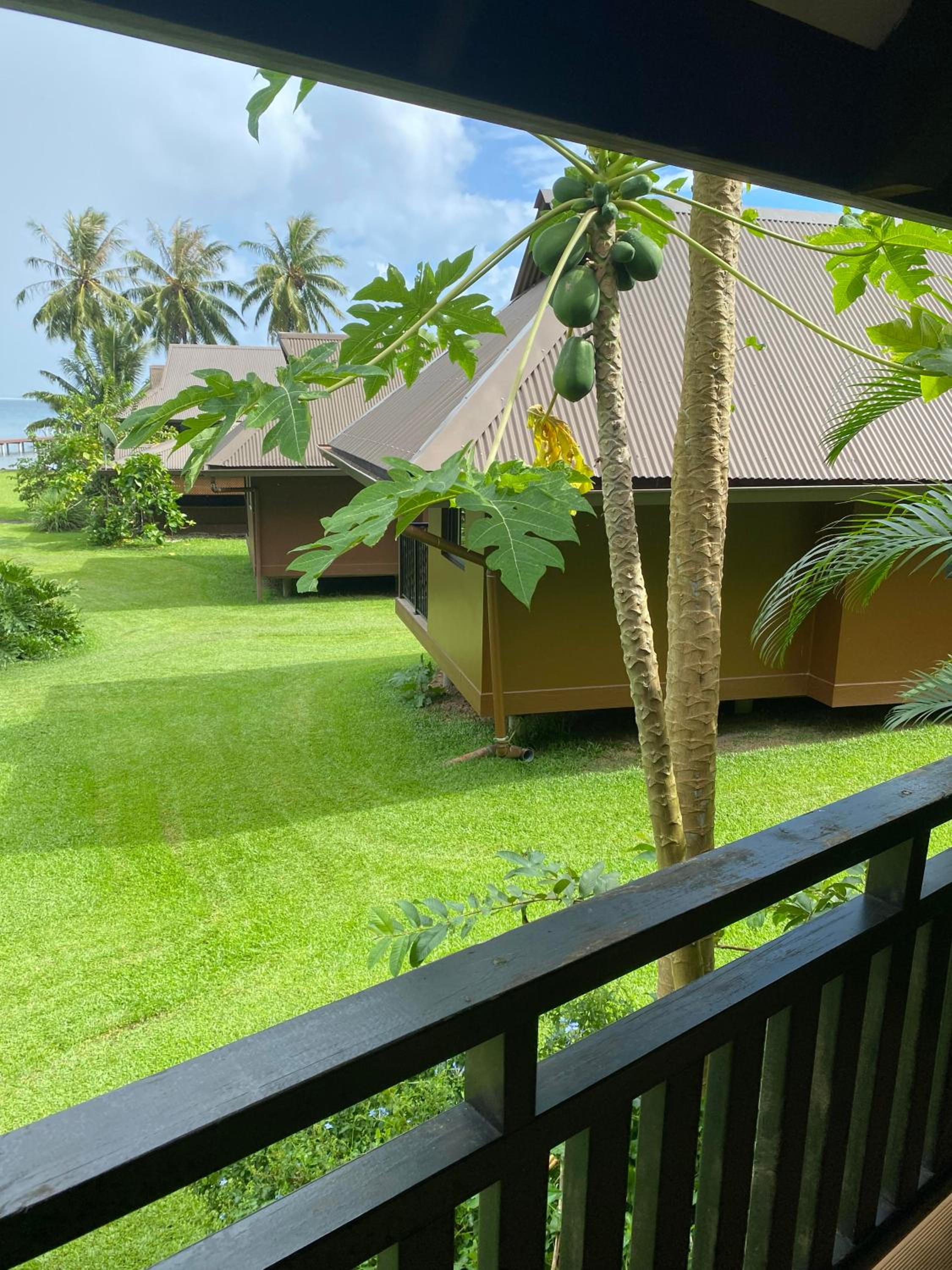 Bungalow With Sea View photo 3