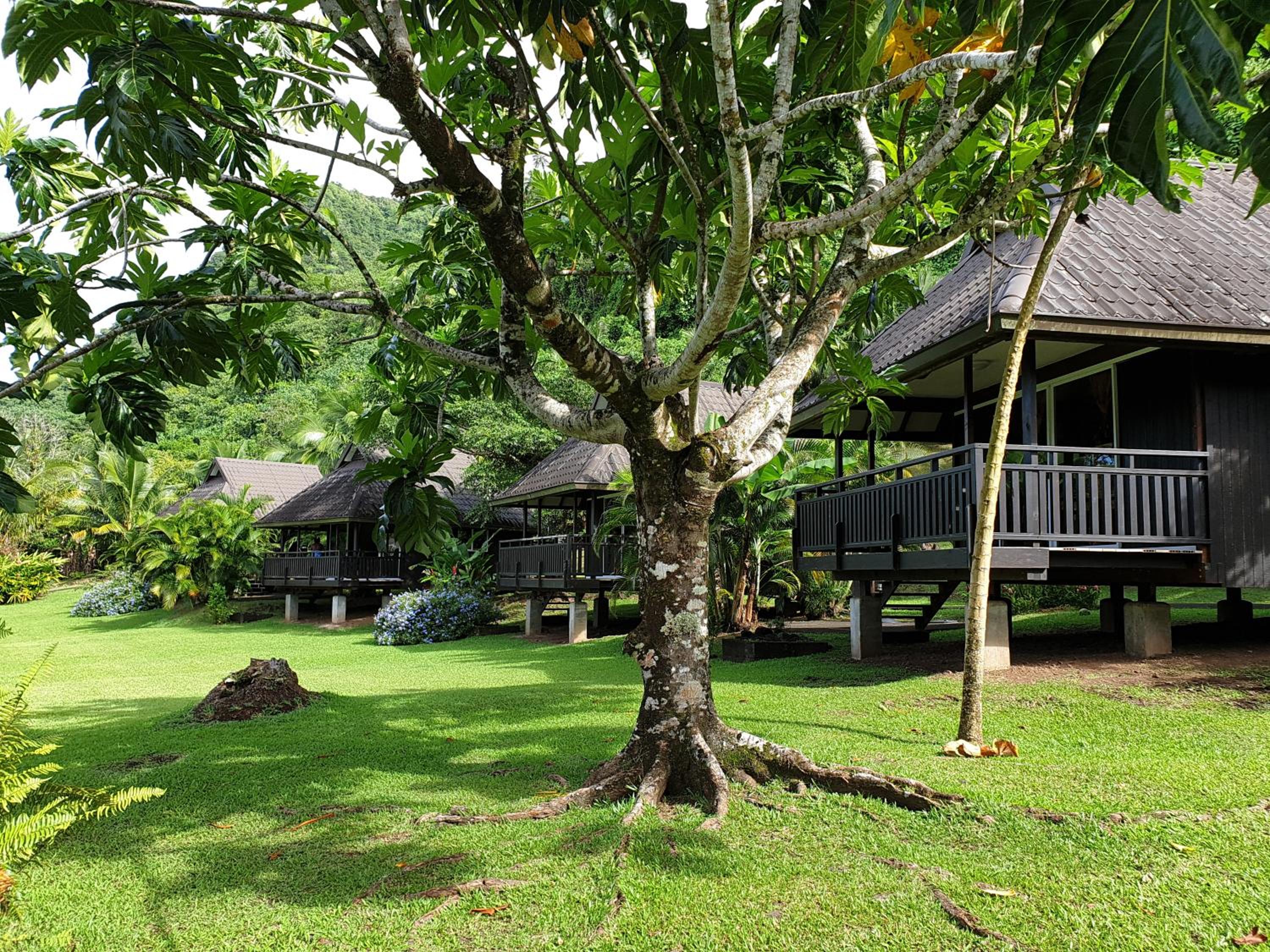 Bungalow With Garden View photo 3