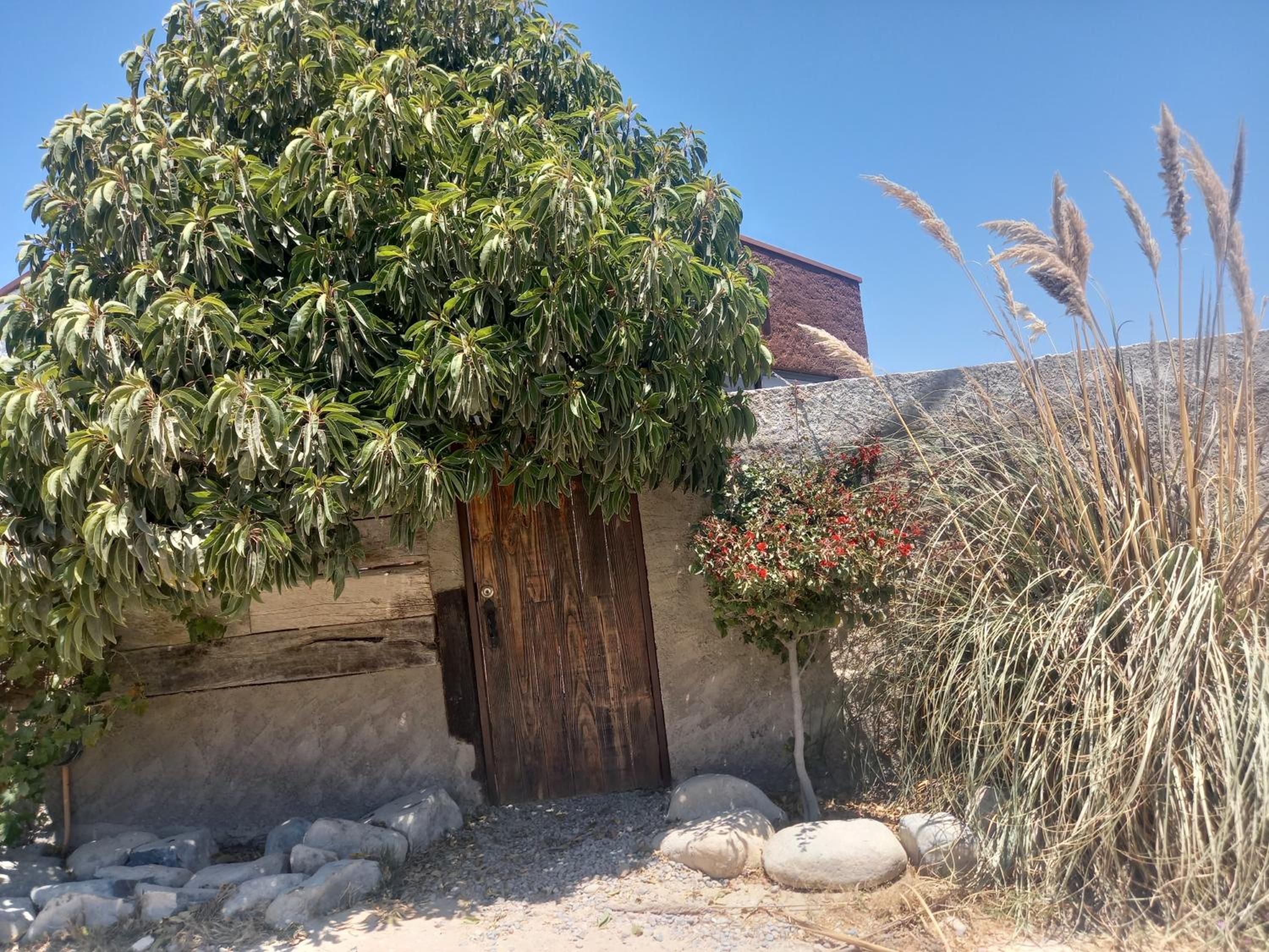 Deluxe Bungalow with Sea View photo 2