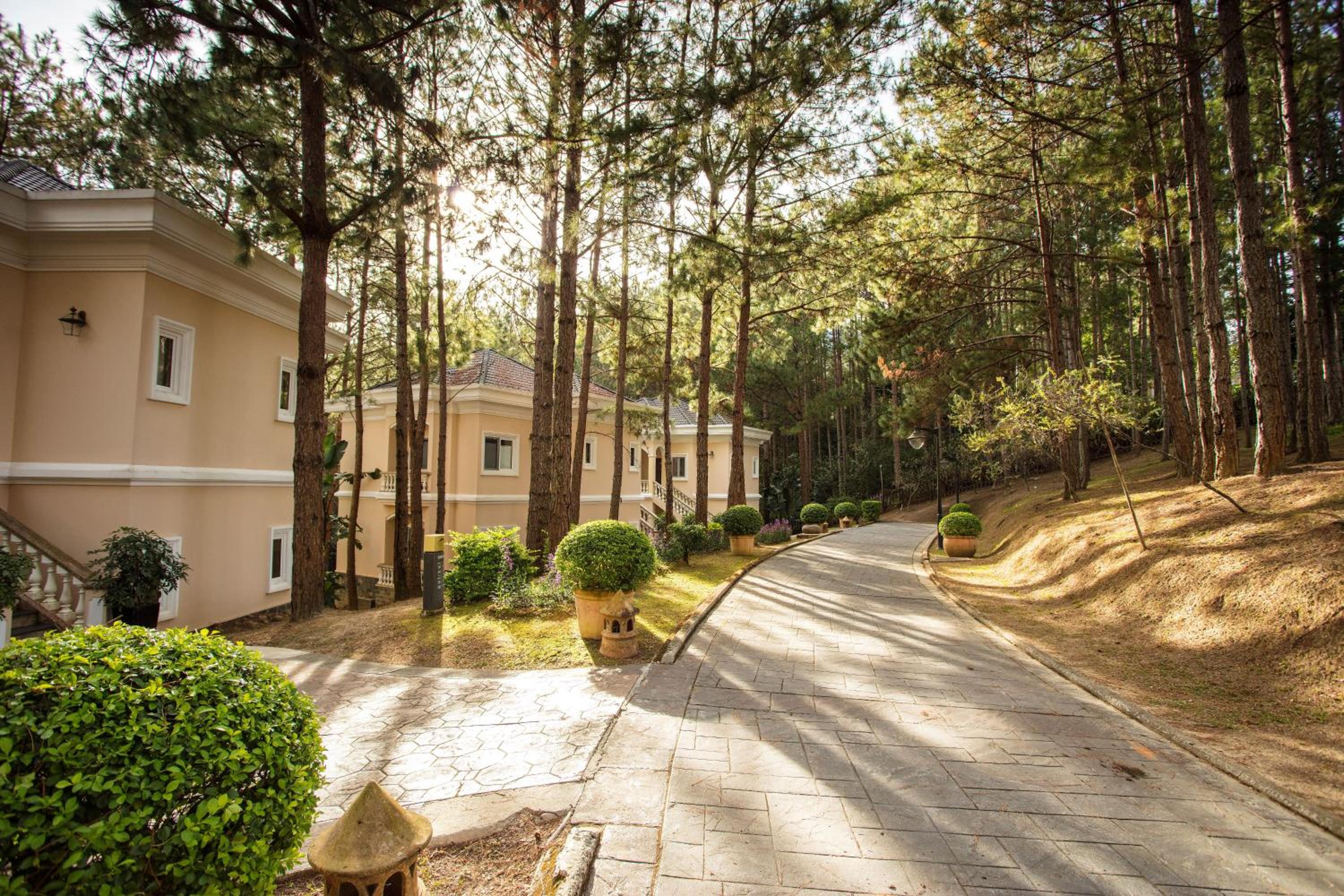 Deluxe Double/Twin with Garden and Pine Hill View Villa - Photo 3