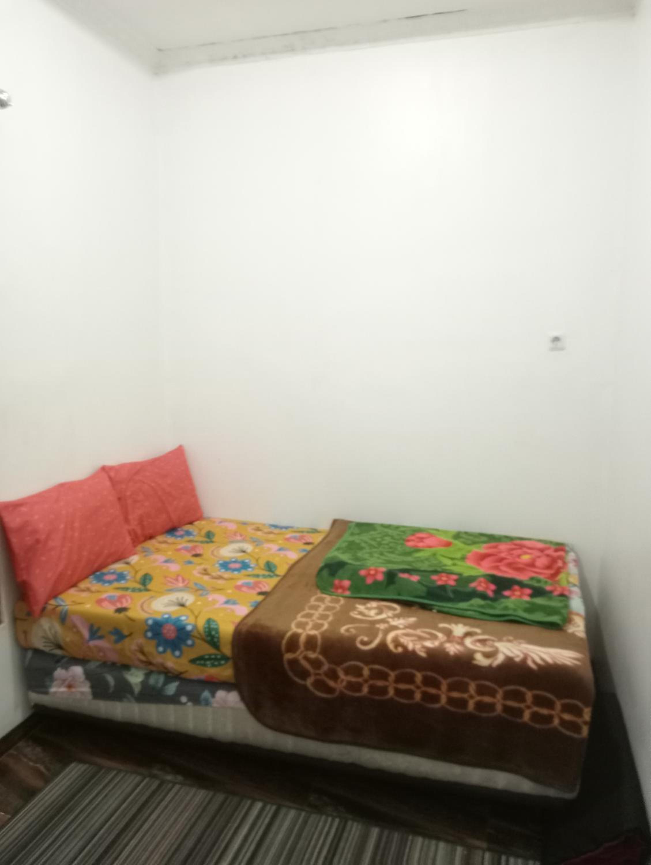 One-Bedroom House photo 1