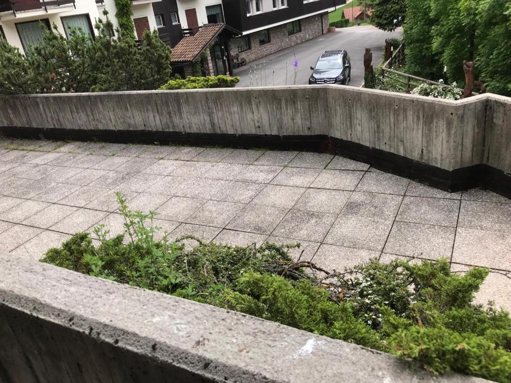 Superior Apartment photo 3