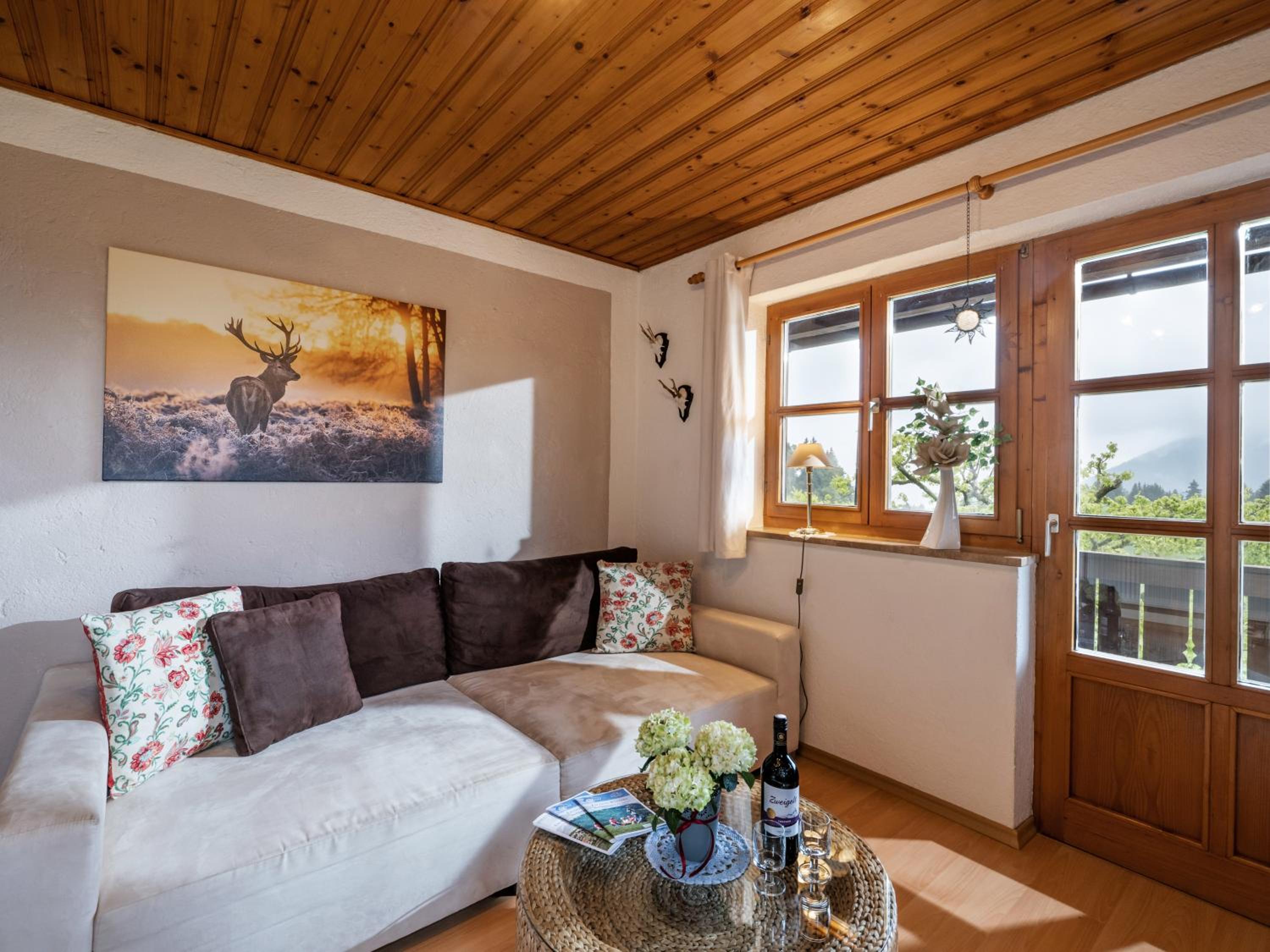 Apartment with Mountain View photo 3