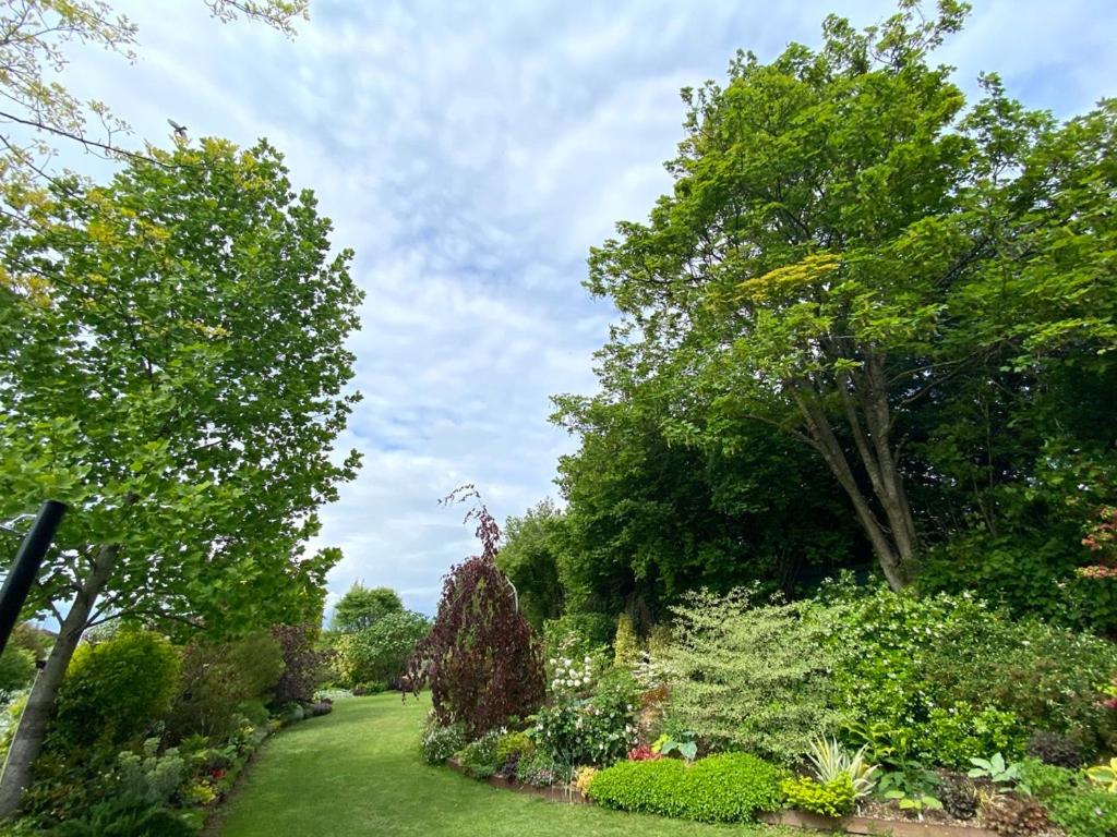Quadruple Room with Garden View - Photo 4