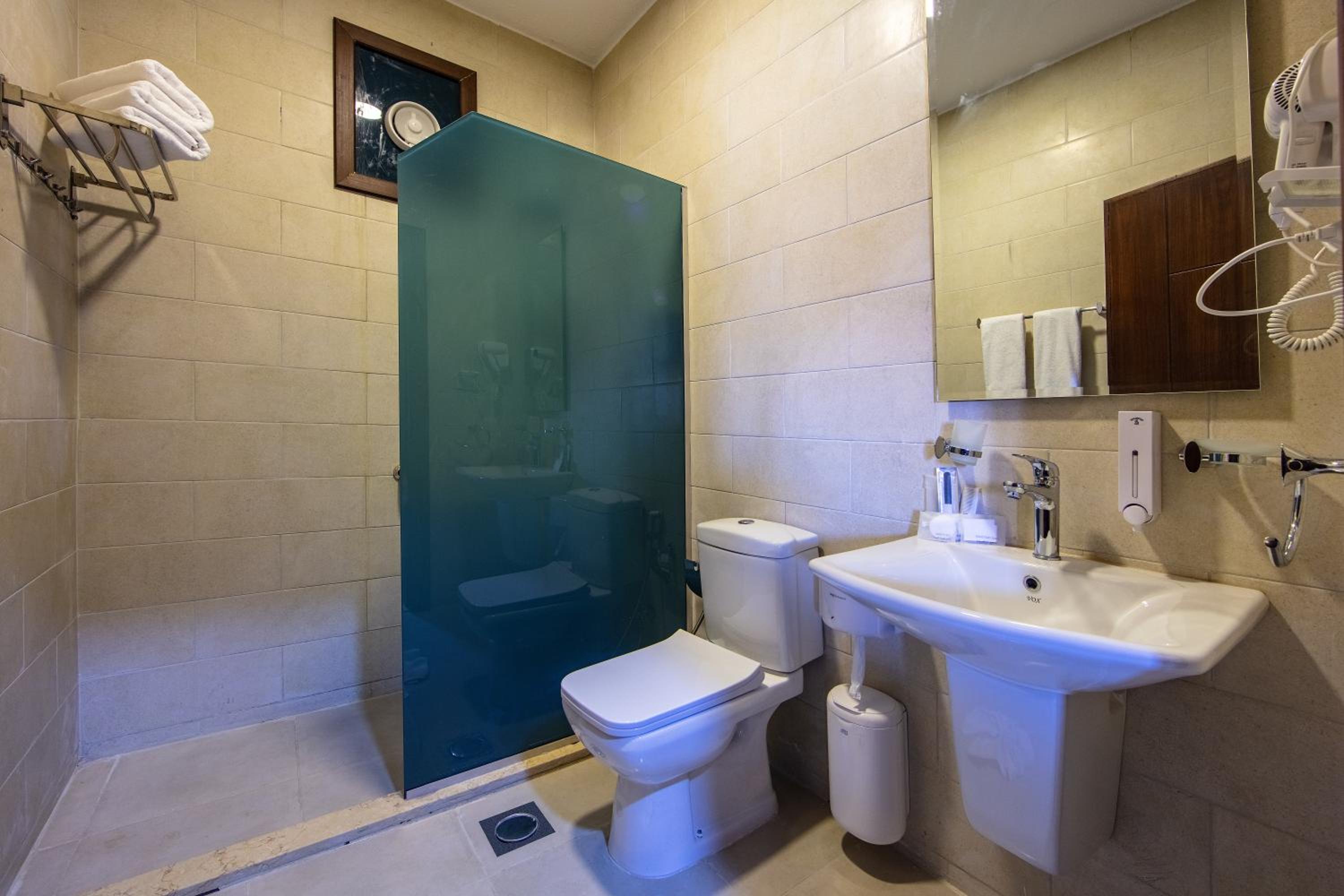 Deluxe Twin Room photo 2