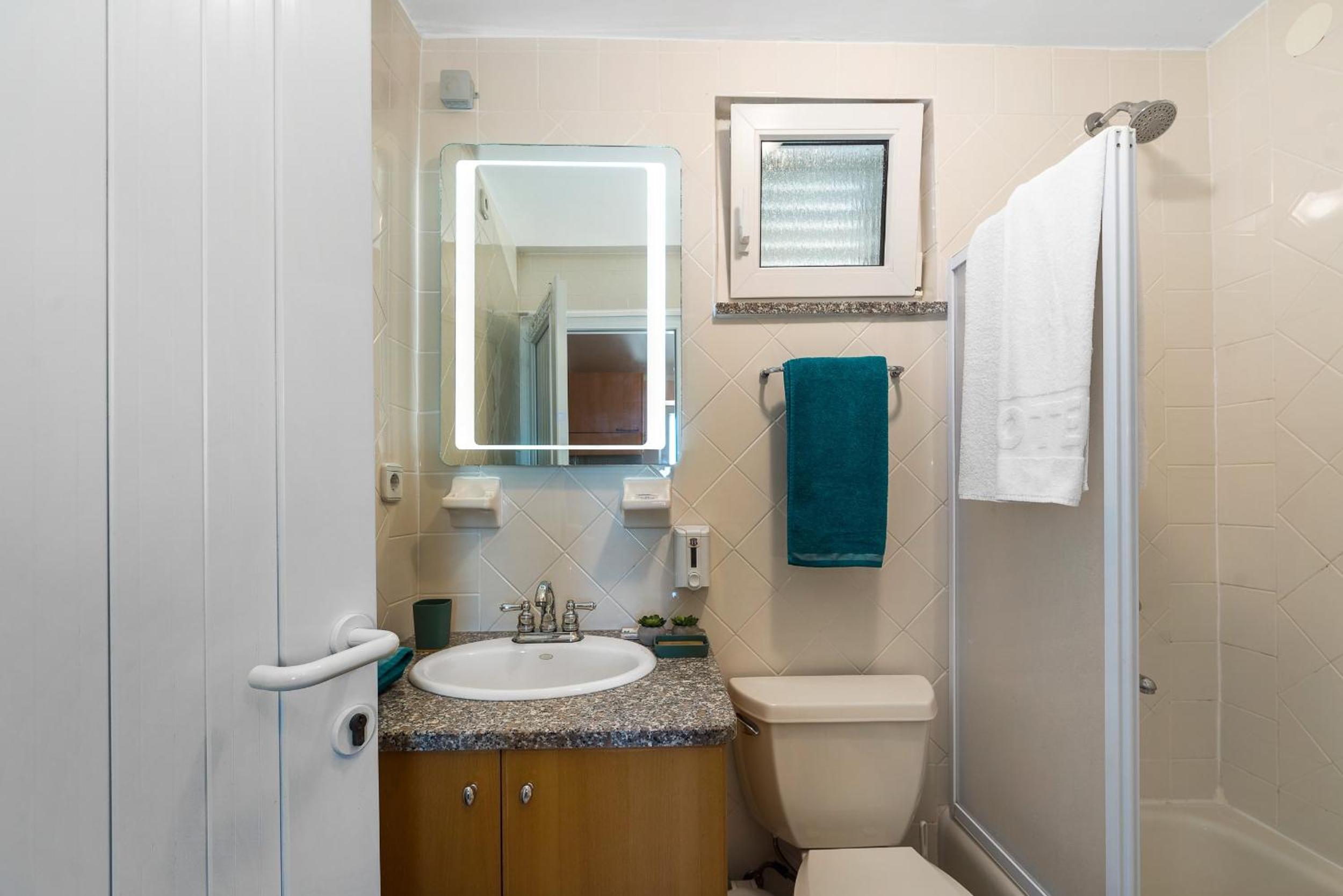 One Bedroom Apartment photo 3