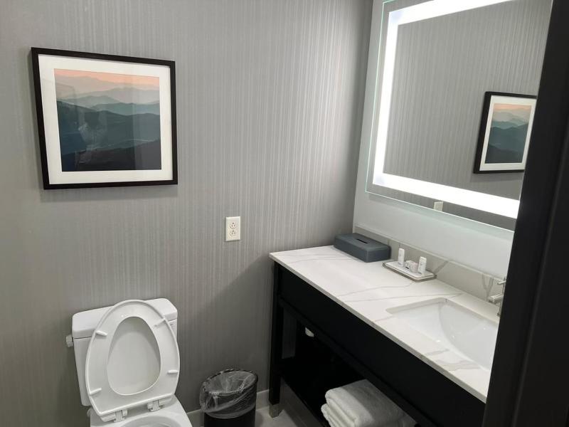 King Room with Roll-in Shower - Mobility Access/Non-Smoking - Photo 2