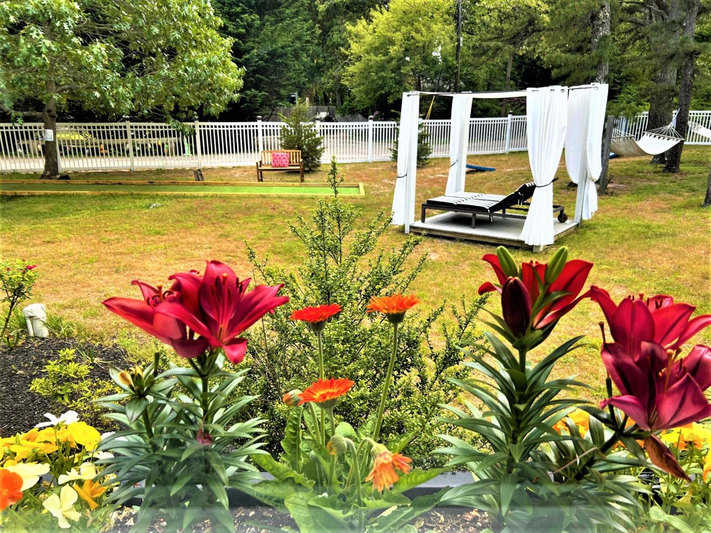 Two-Bedroom Suite - Pet Friendly photo 2