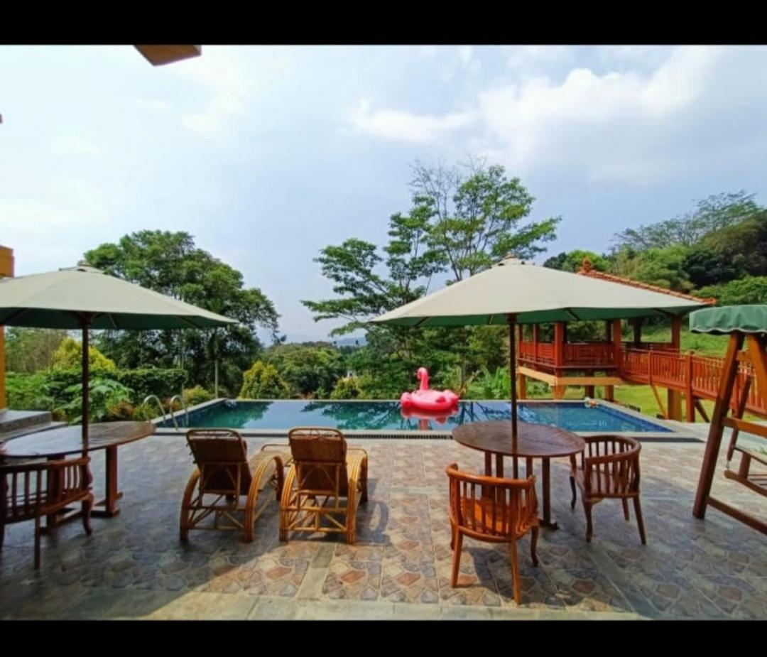 One-Bedroom Villa photo 2
