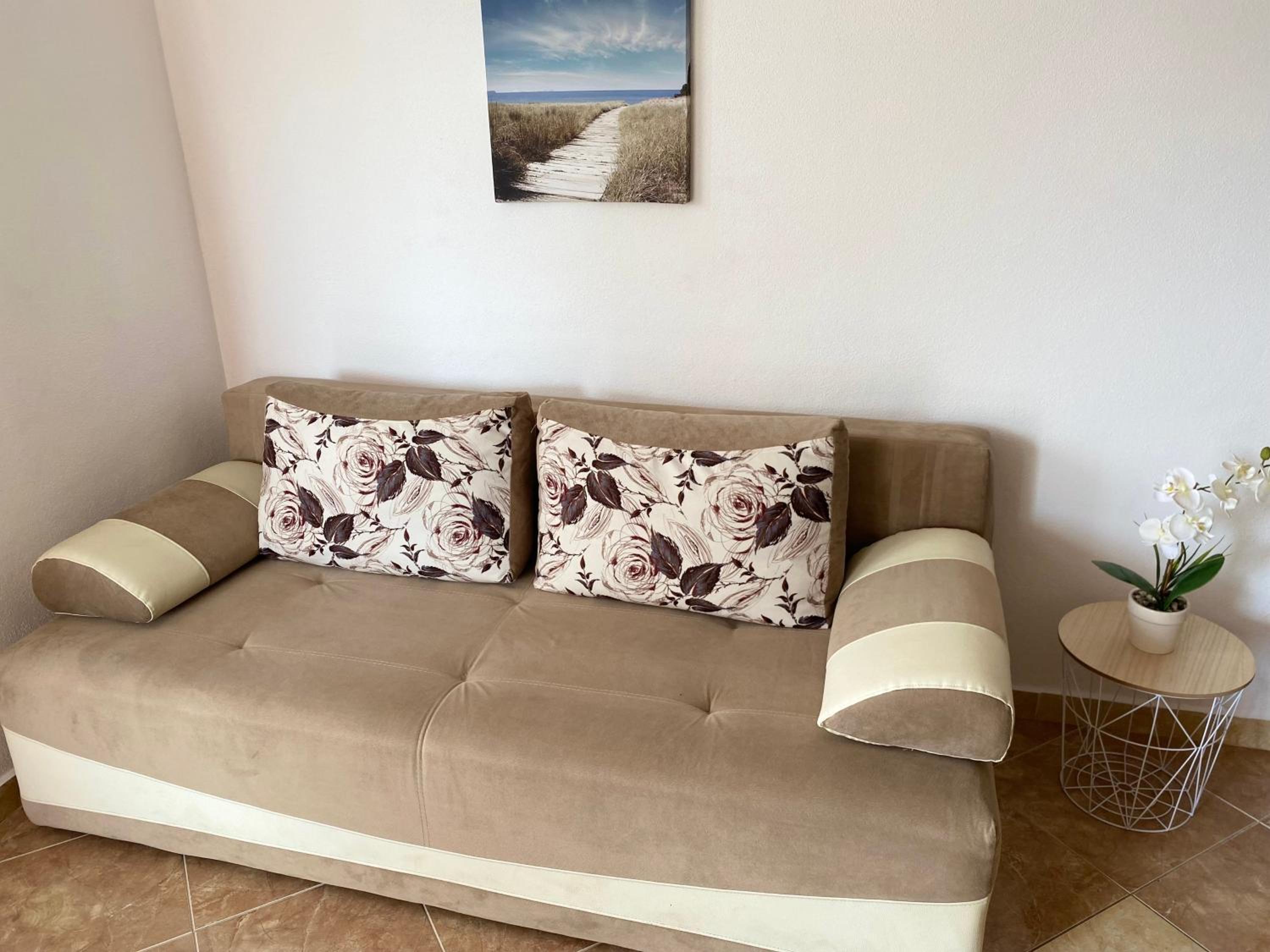 Apartment with Terrace photo 2