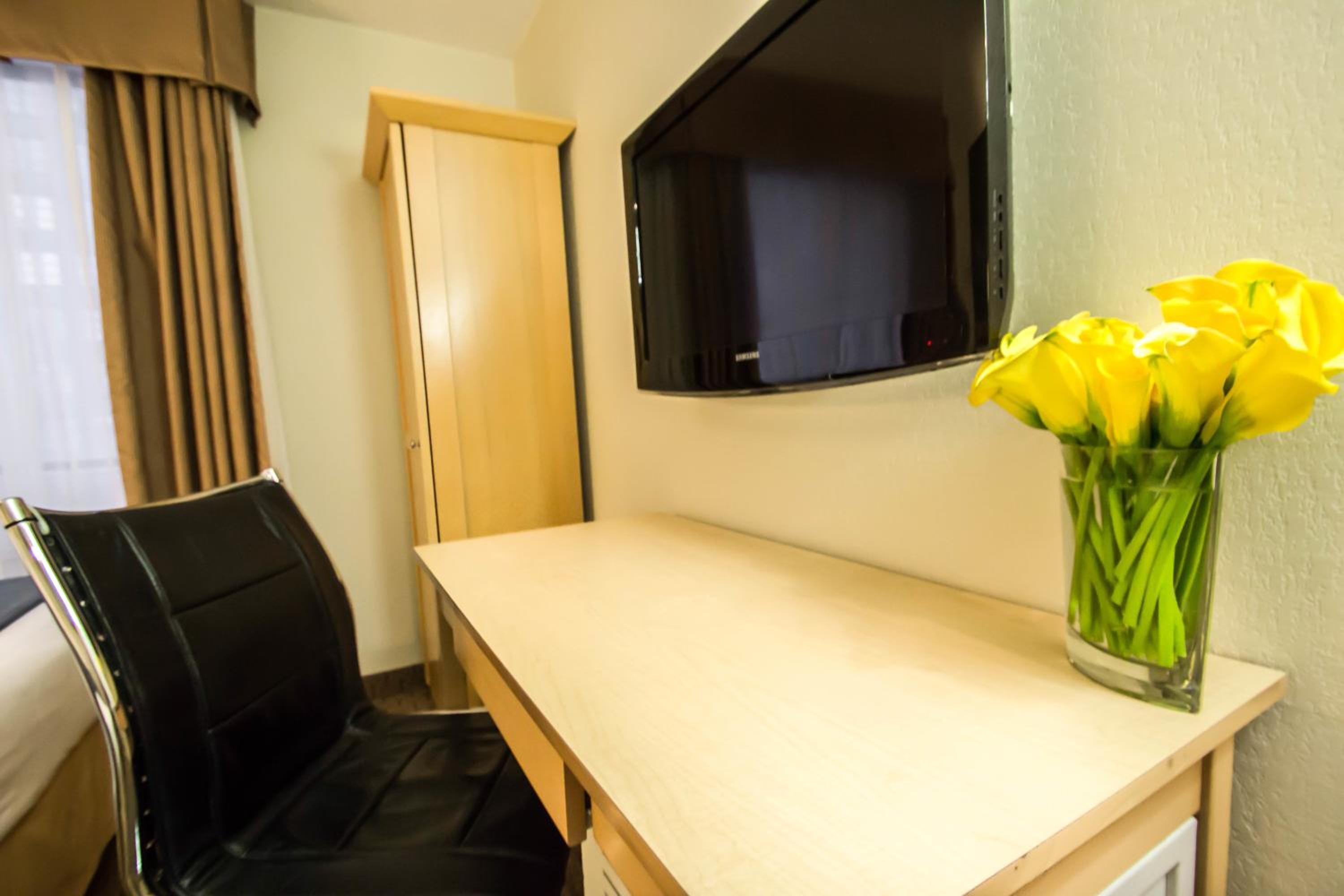 Single Room photo 2