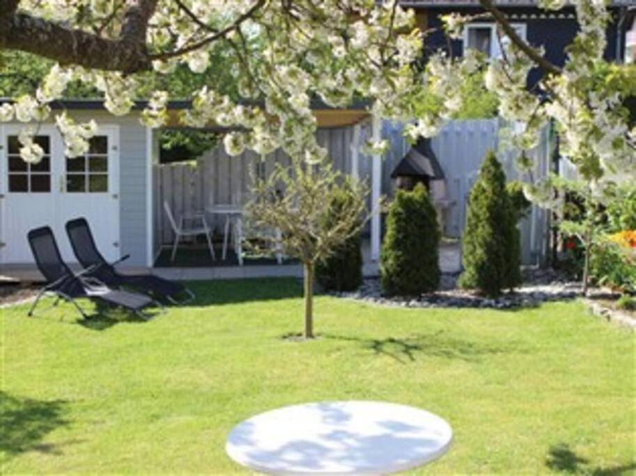 Four-Bedroom House photo 2
