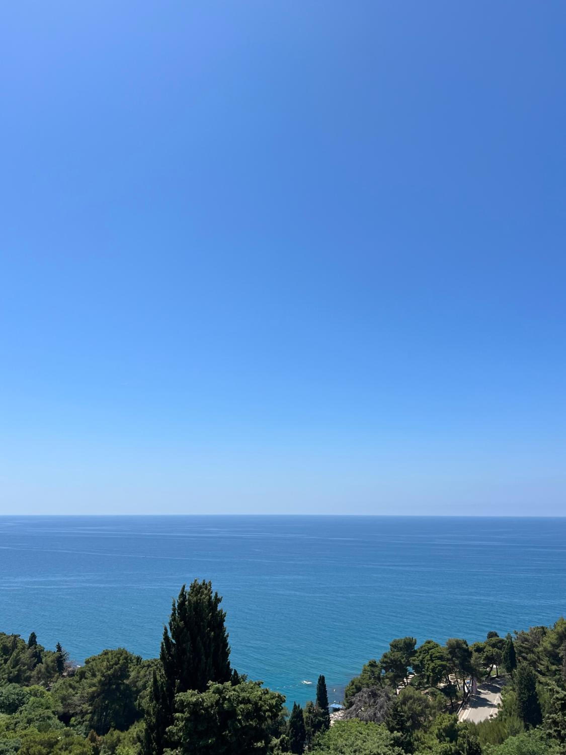 Triple Room with Balcony and Sea View photo 2