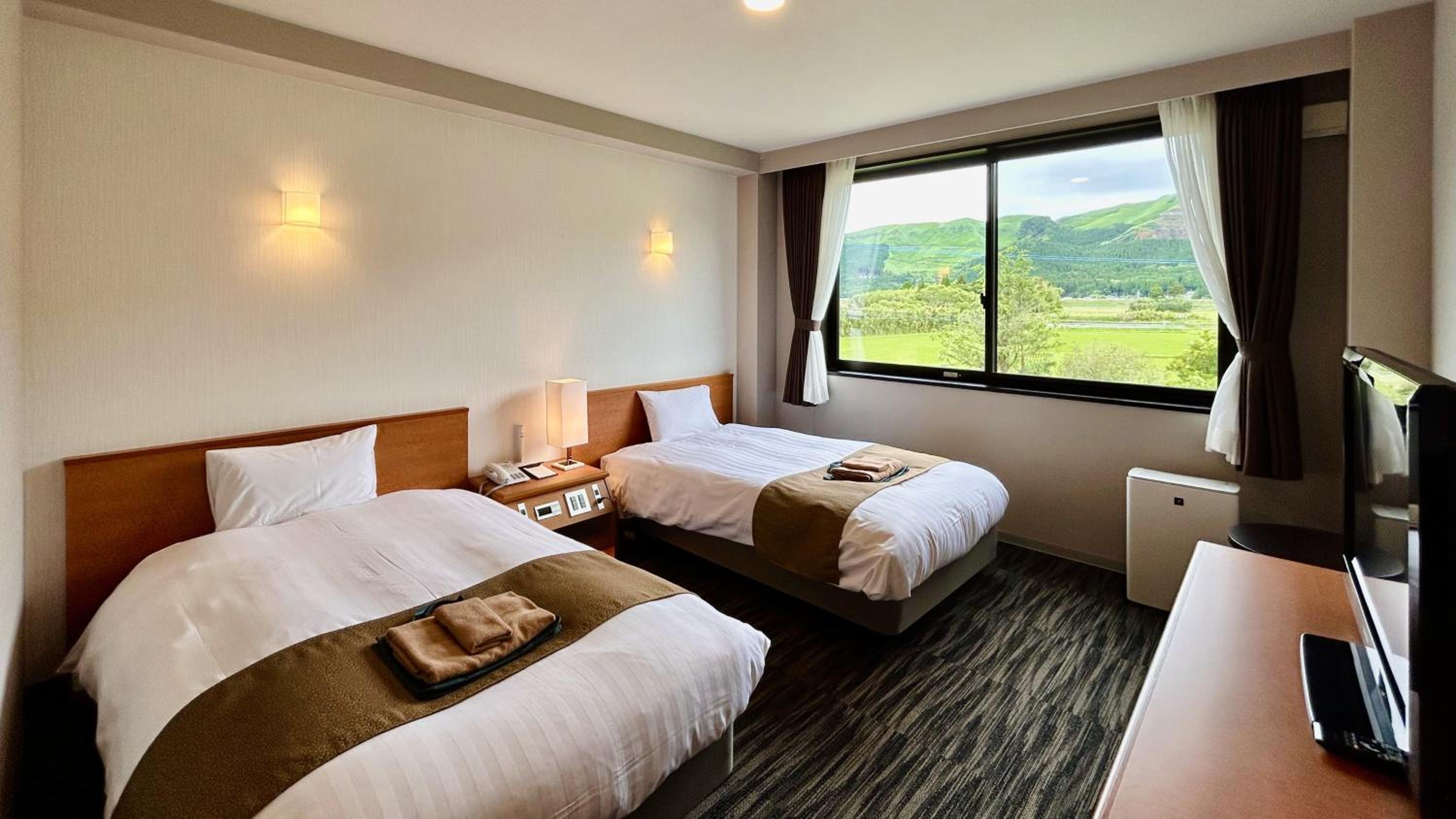 Twin Room With Aso Mountain View
