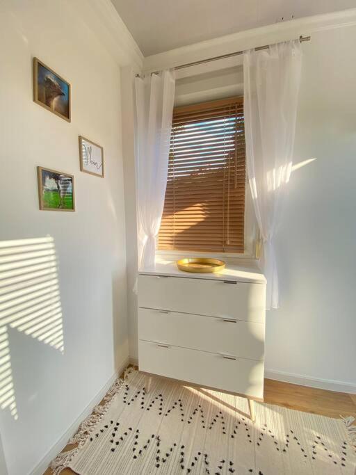 One-Bedroom House photo 3