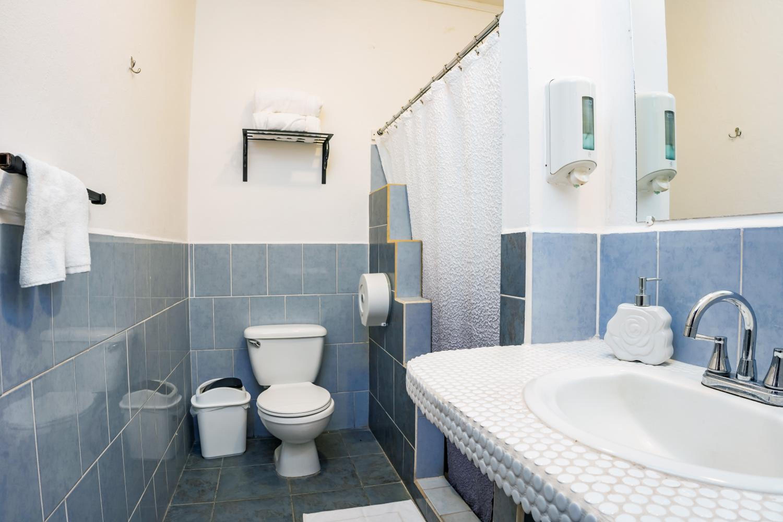 Twin Room photo 2