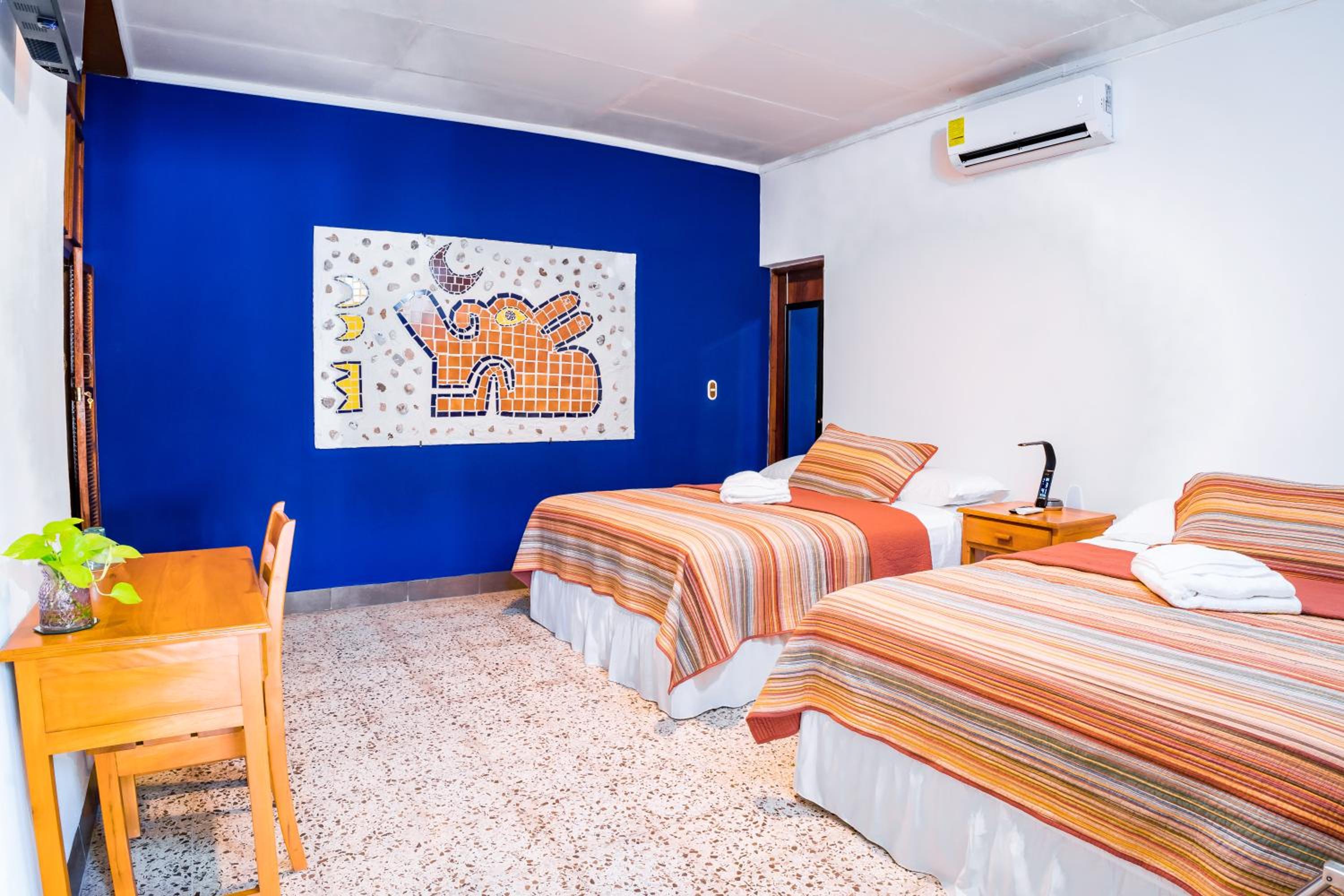 Twin Room photo 1