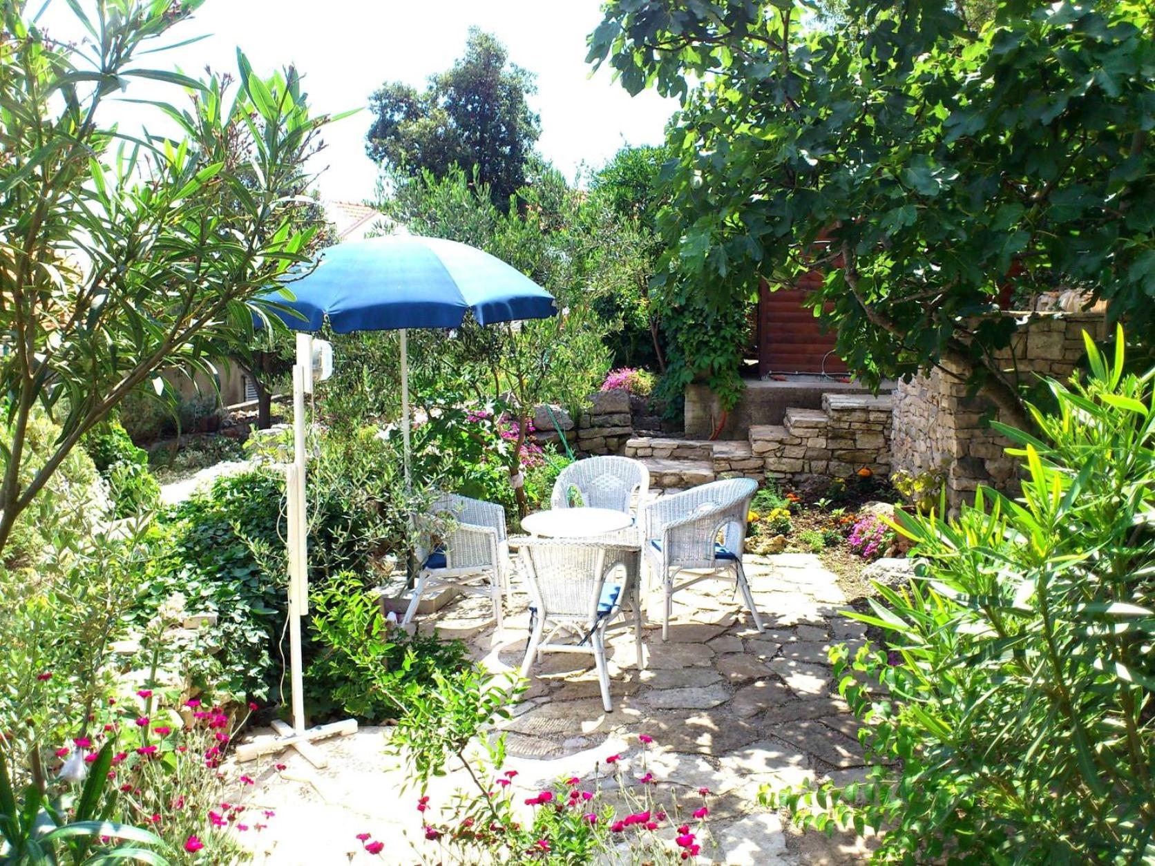 Apartment with Terrace photo 2