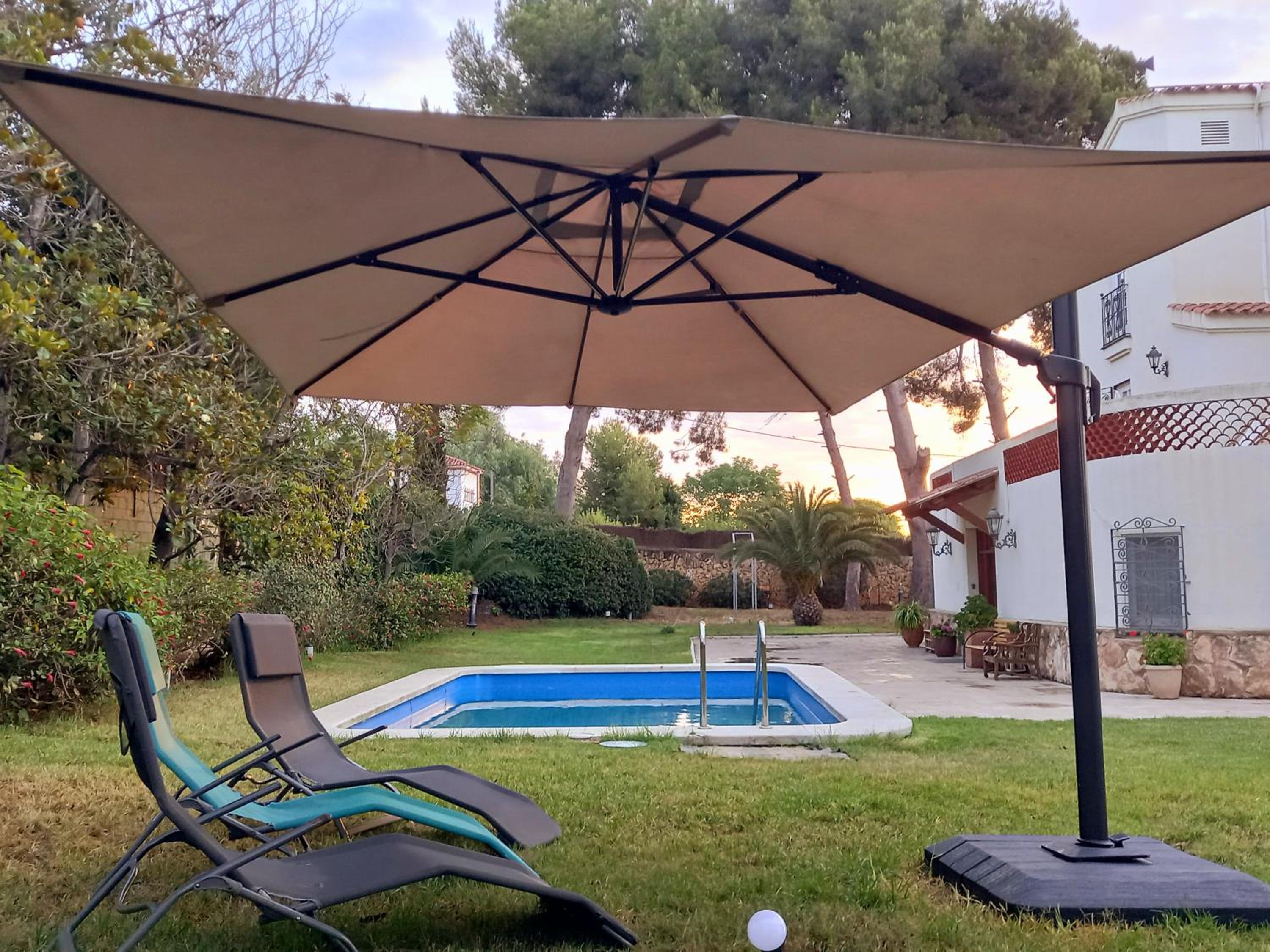 Apartment with Terrace photo 2