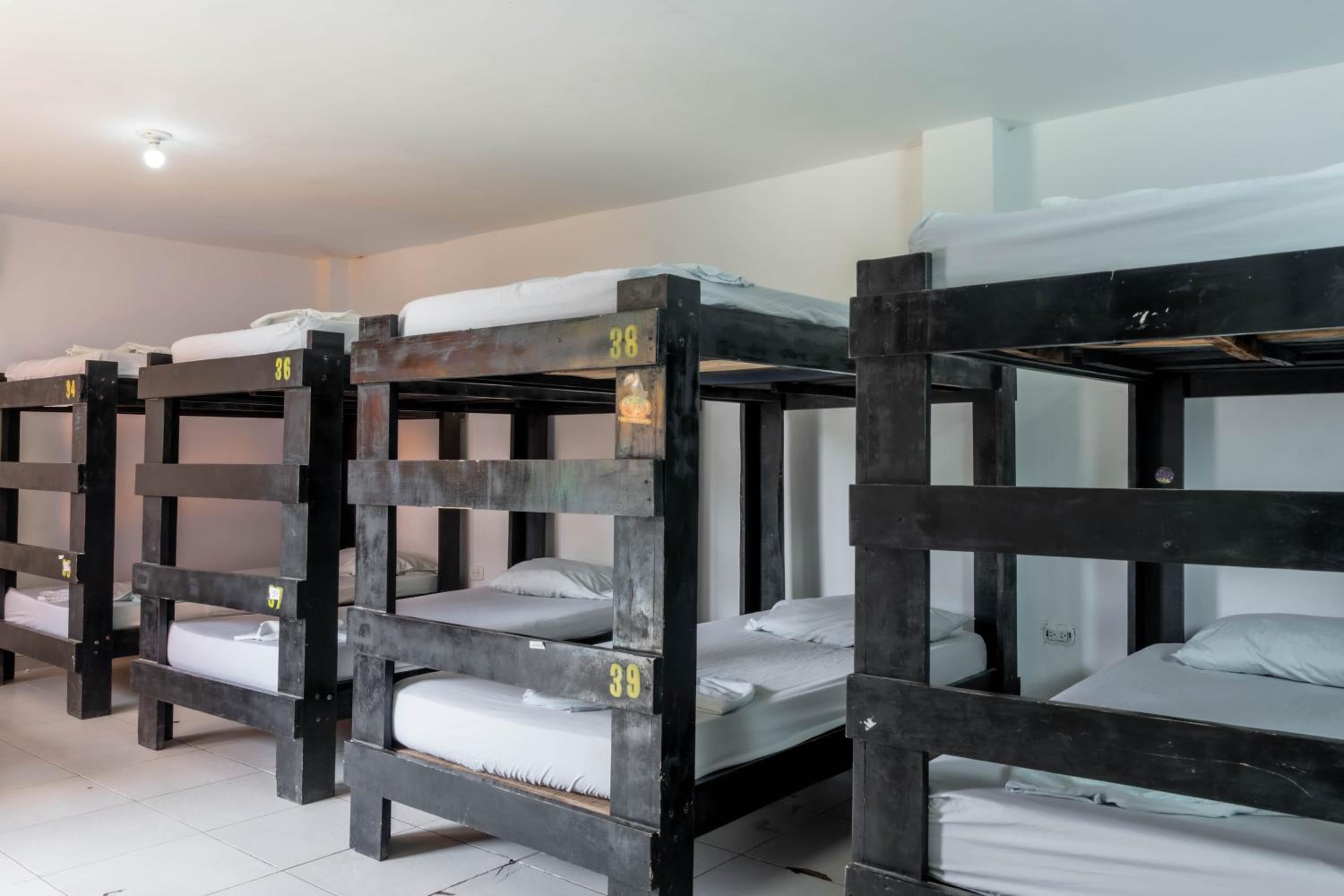 Single Bed in Mixed Dormitory Room 15 Beds photo 1