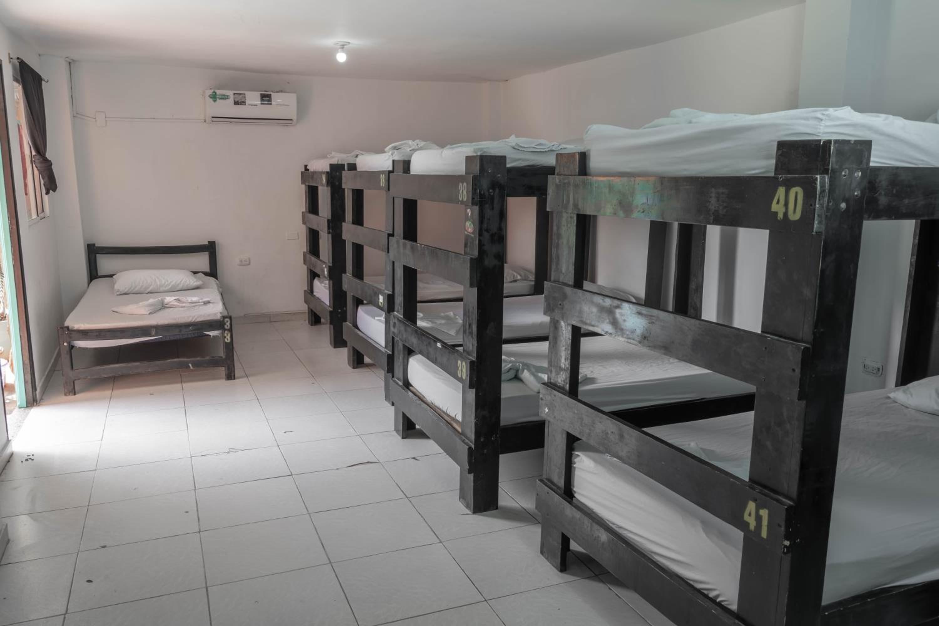 Single Bed in Mixed Dormitory Room 15 Beds photo 2