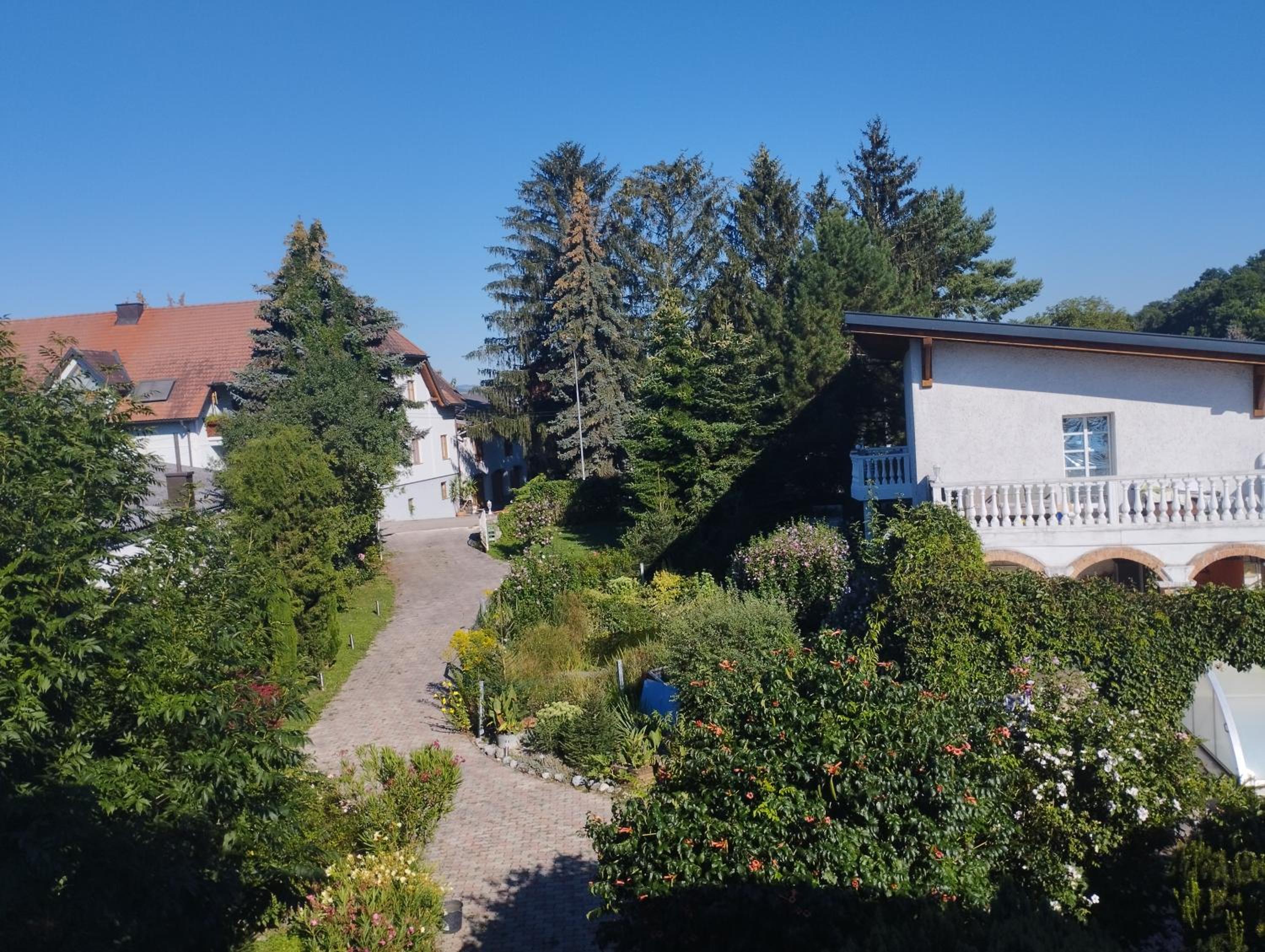 Apartment with Balcony photo 2