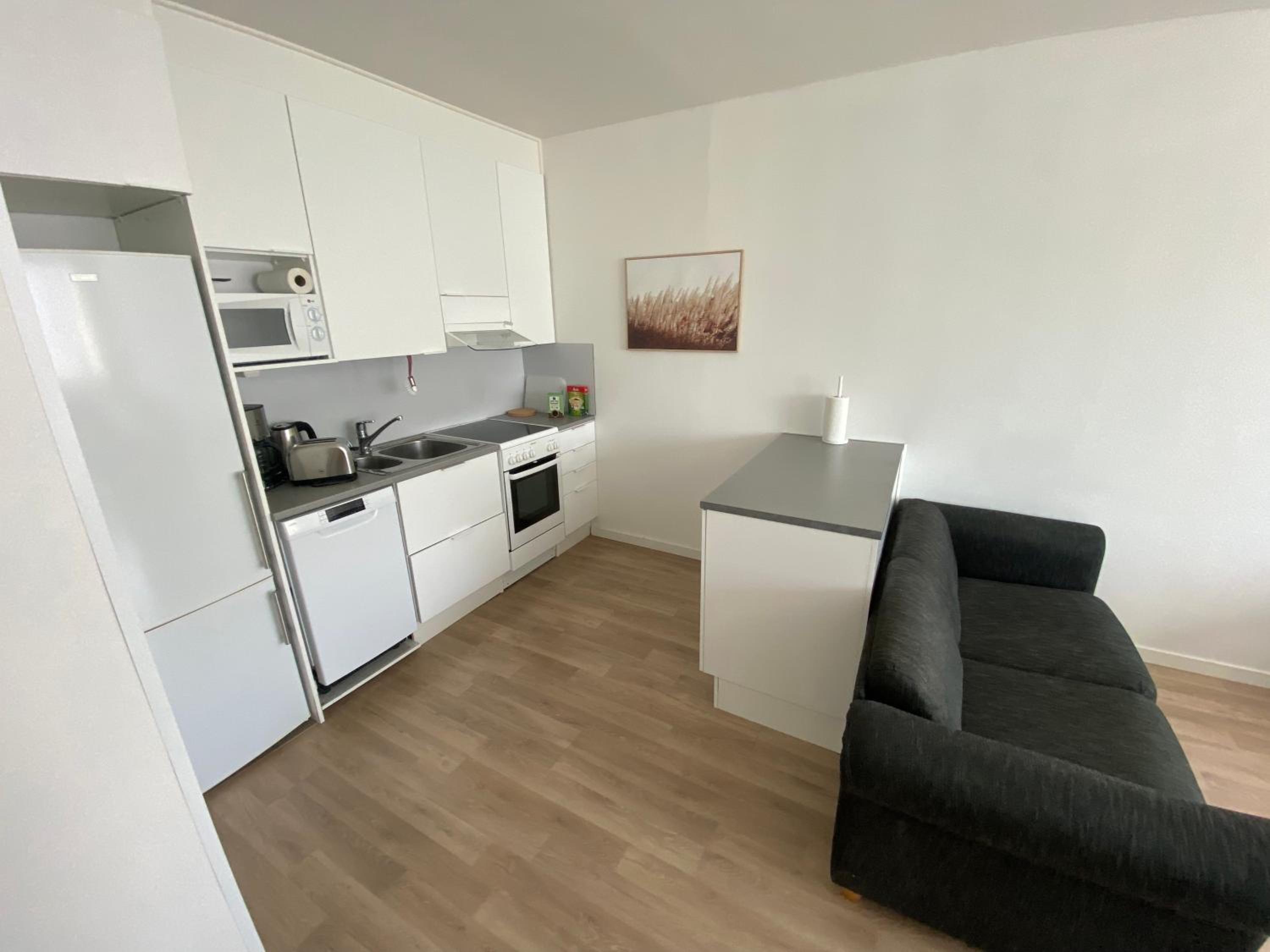 One-Bedroom Apartment photo 2