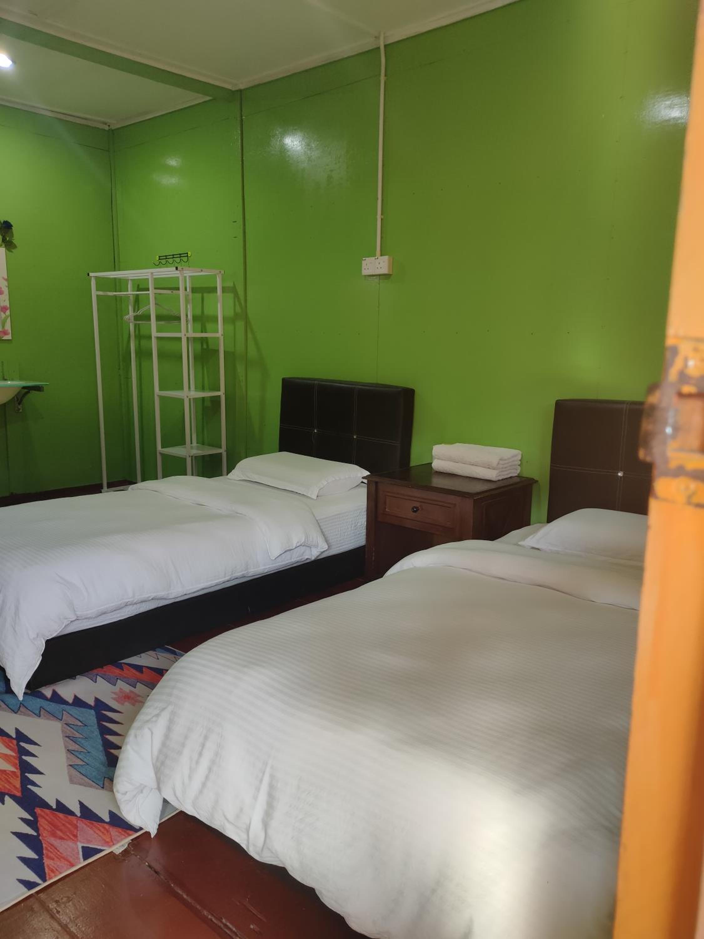 Twin Room photo 2