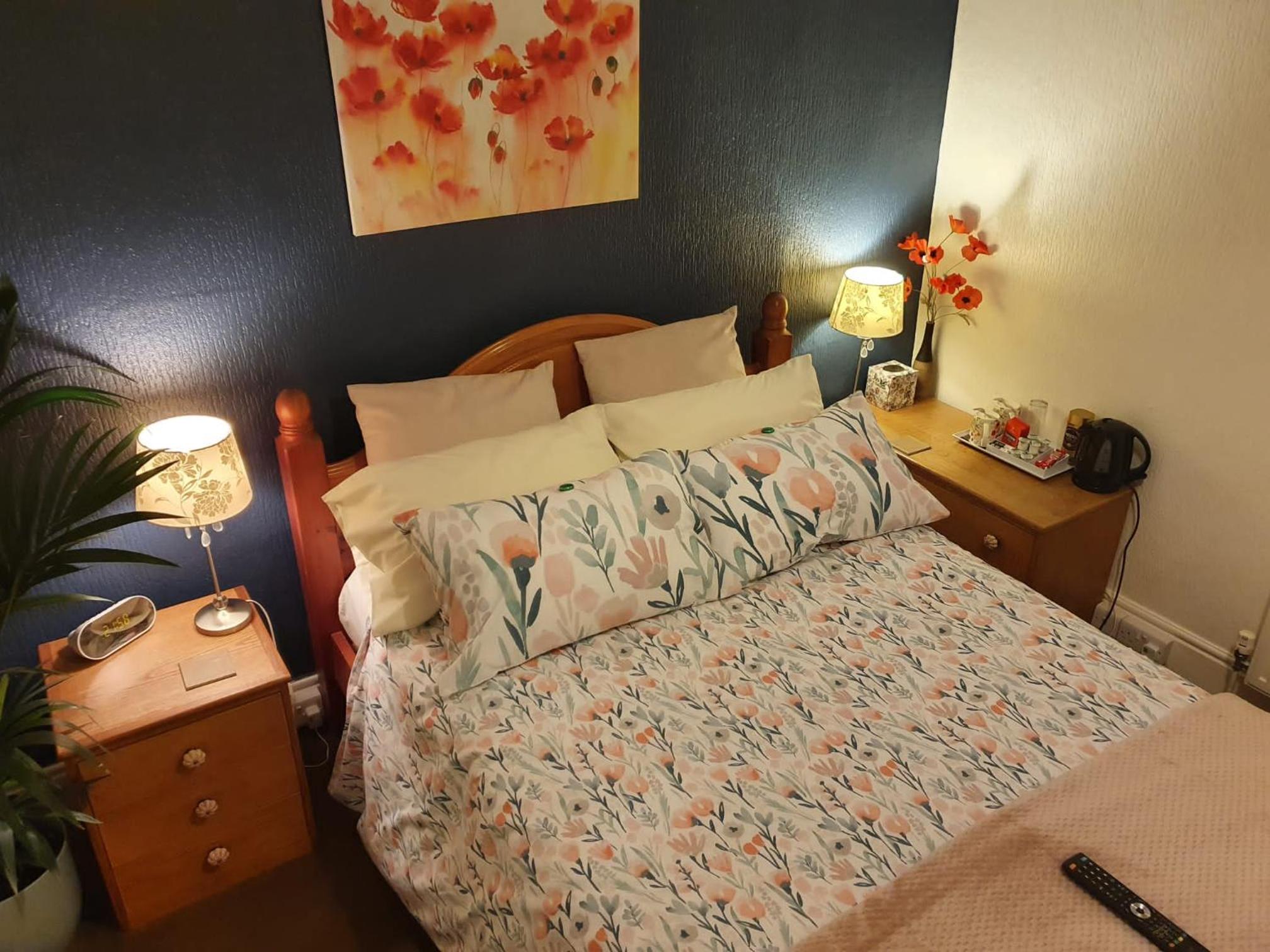 Single Room photo 1