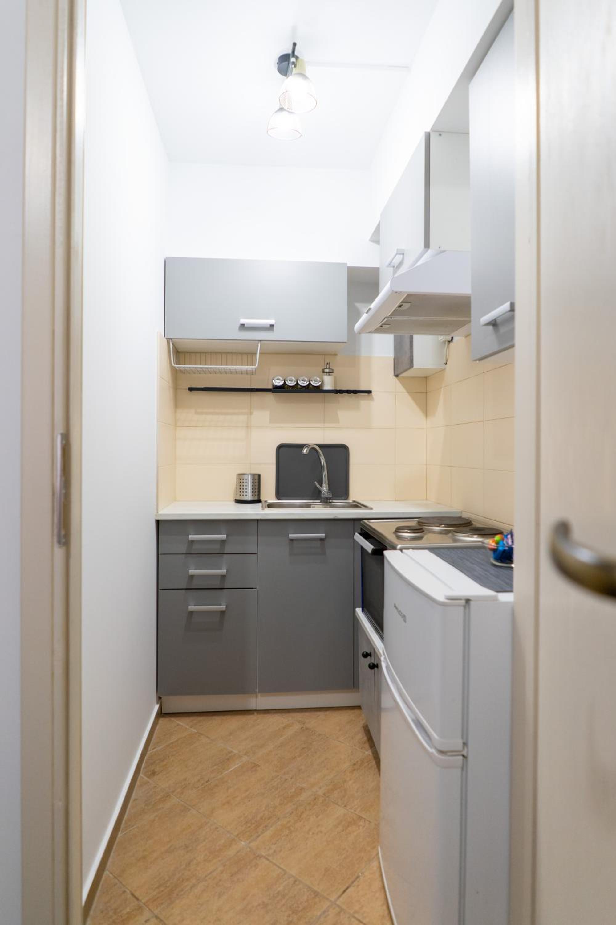 One-Bedroom Apartment photo 3