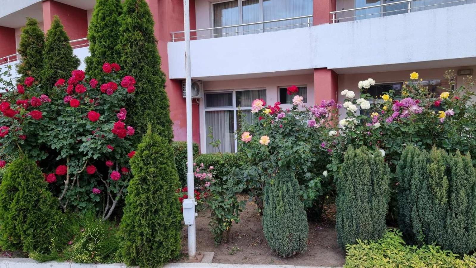 Deluxe Double Room (2 Adults + 1 Child) photo 3