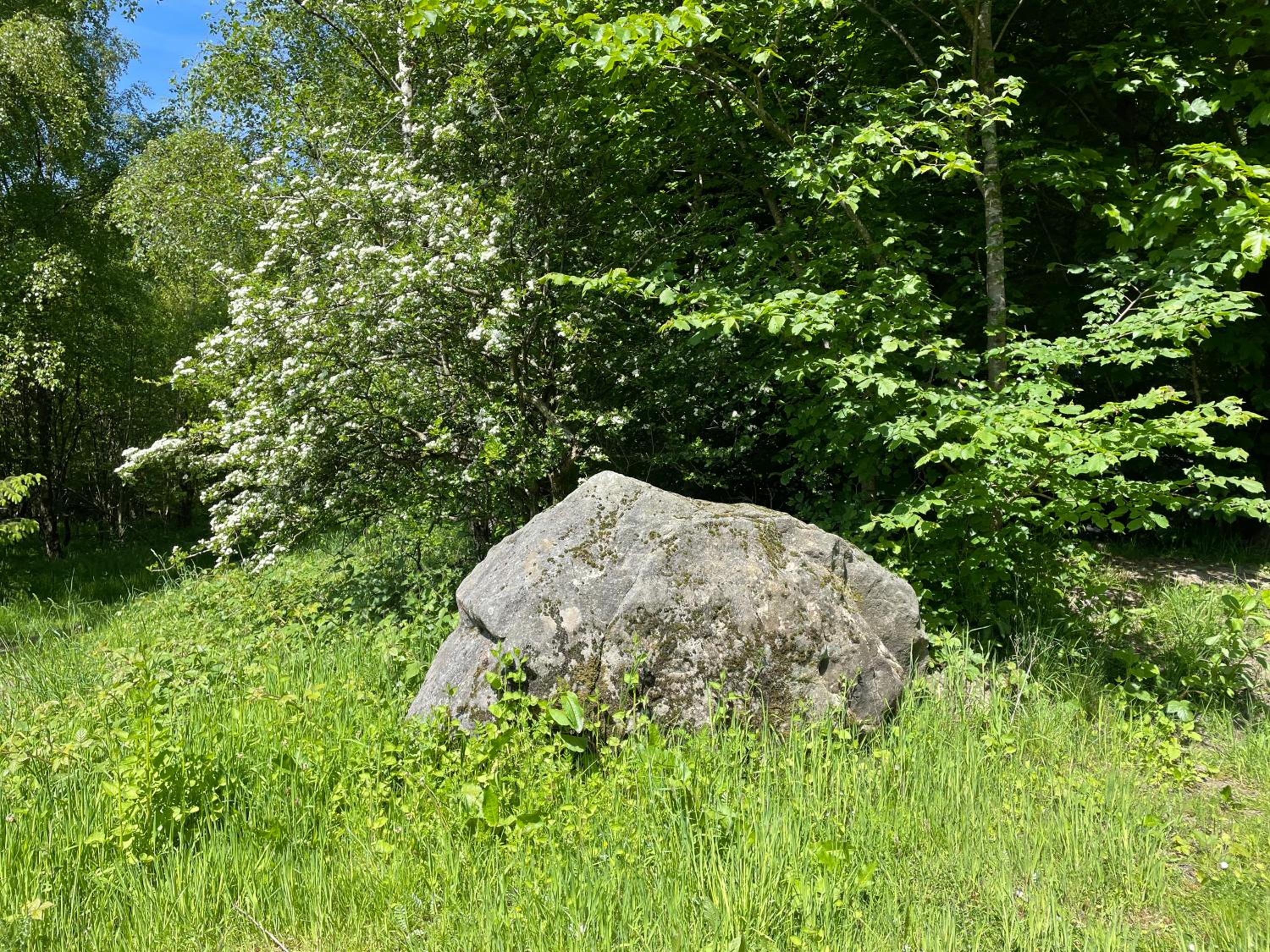 Vacation Home - Photo 36