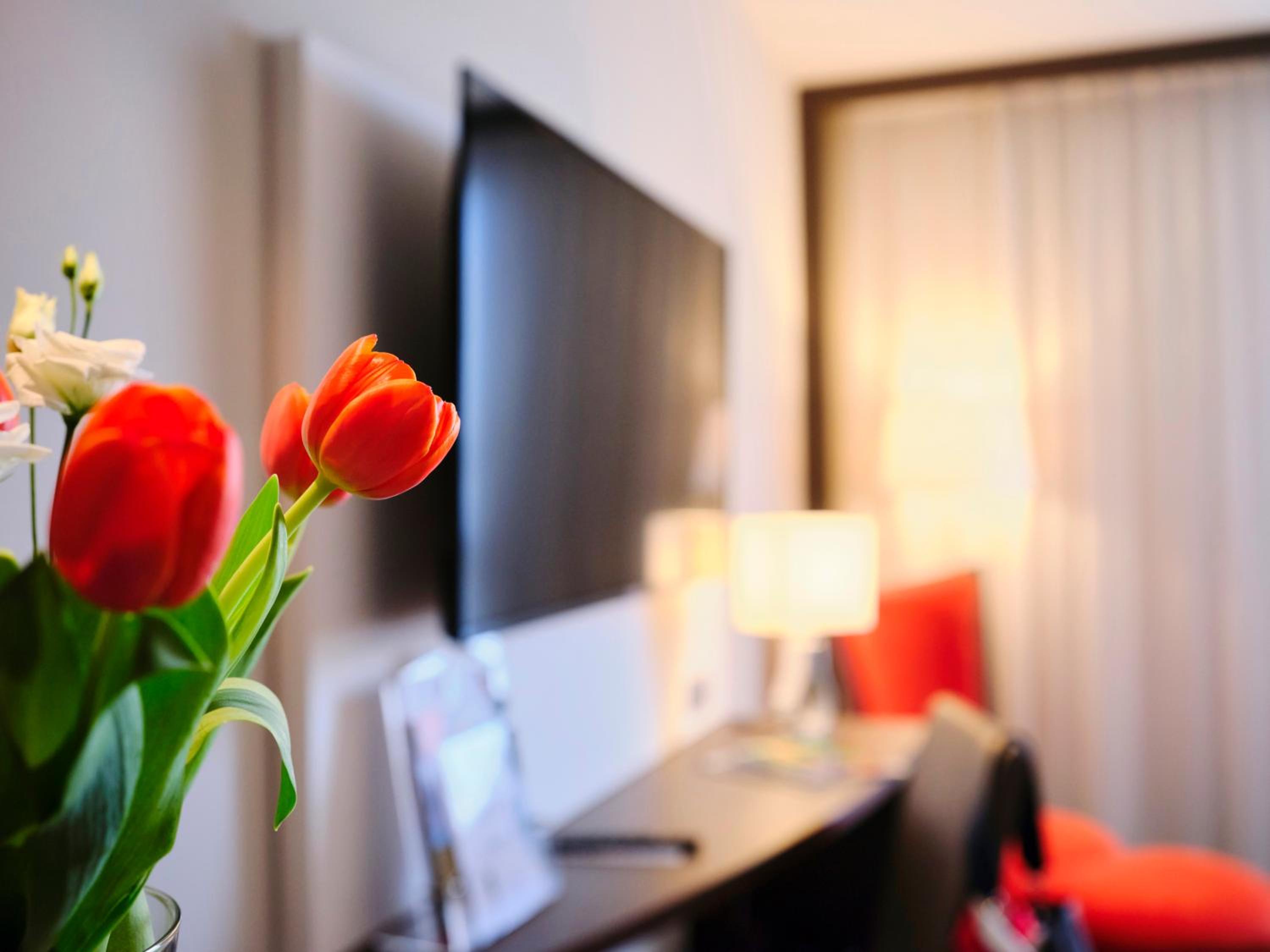 Superior Double Room - Photo 4