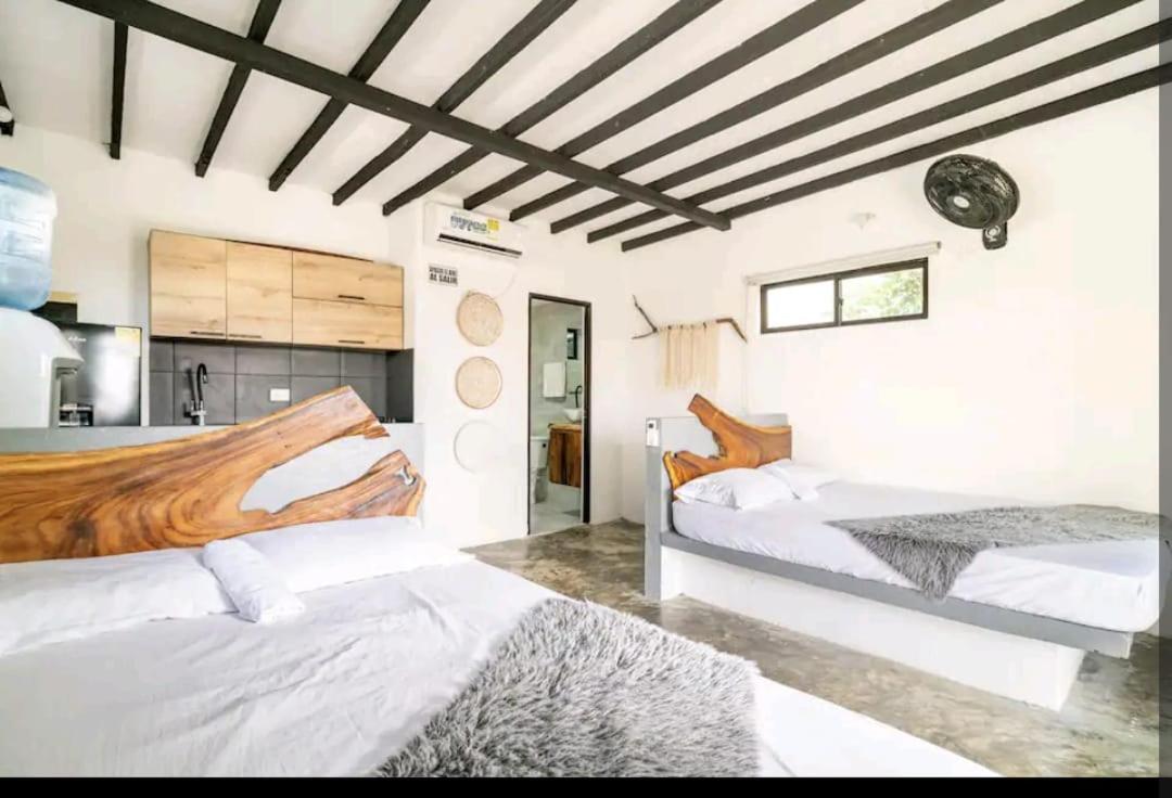 One-Bedroom House photo 3