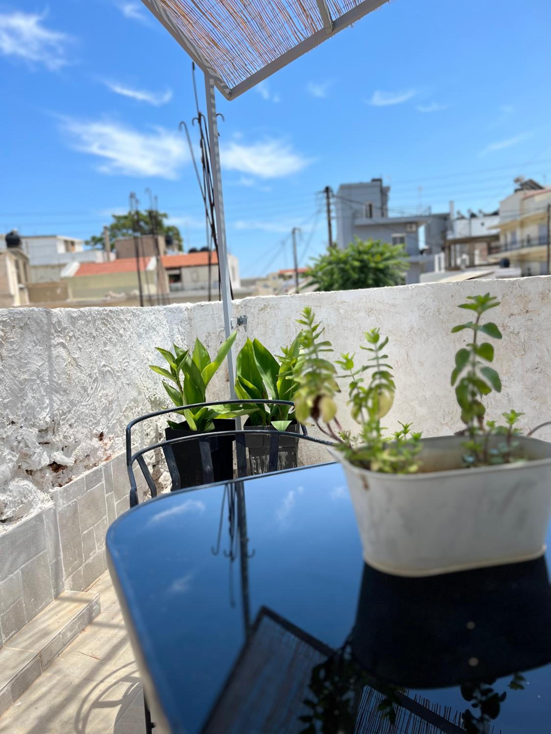 Apartment with Terrace - Photo 8