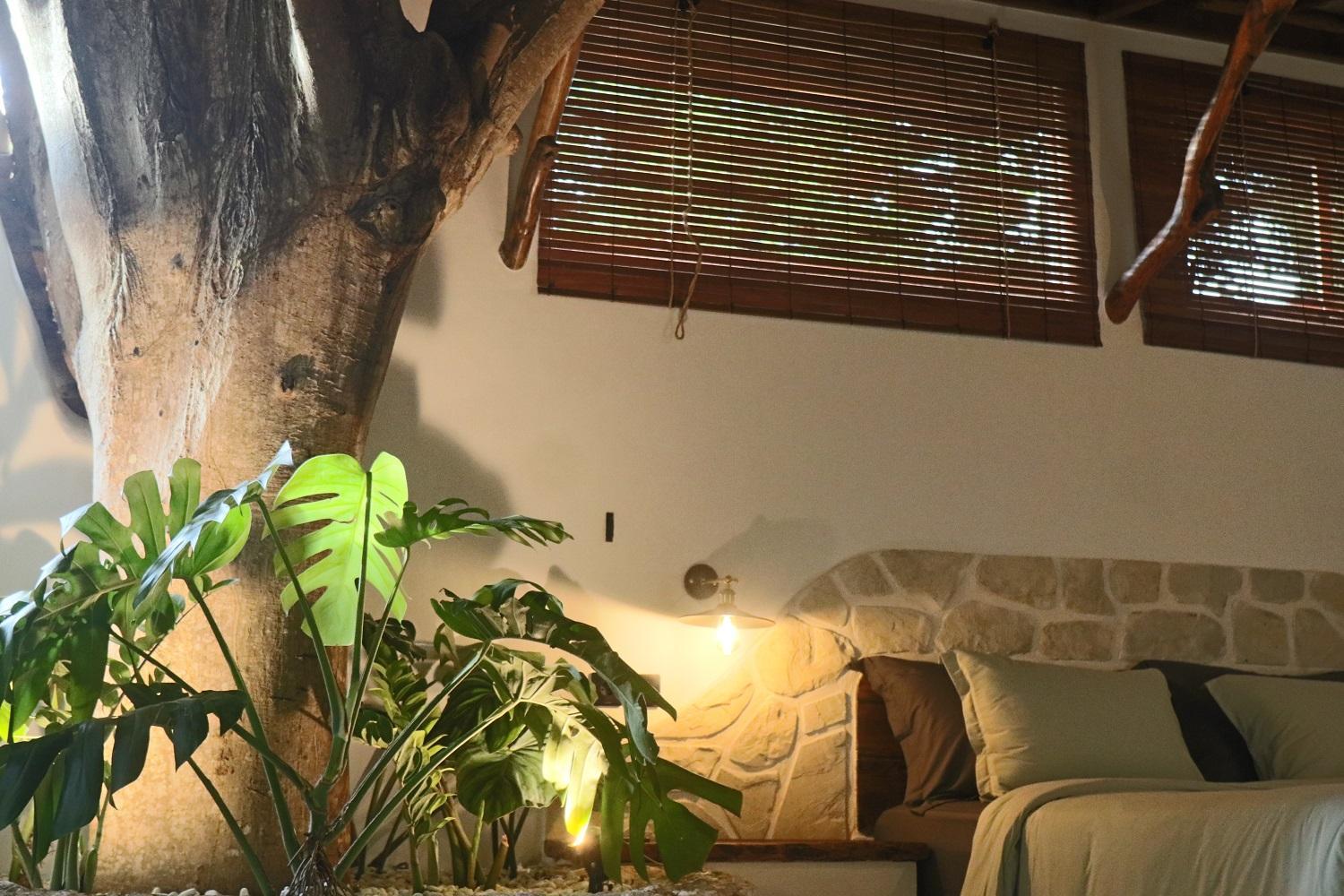 Deluxe King Suite - Photo 9