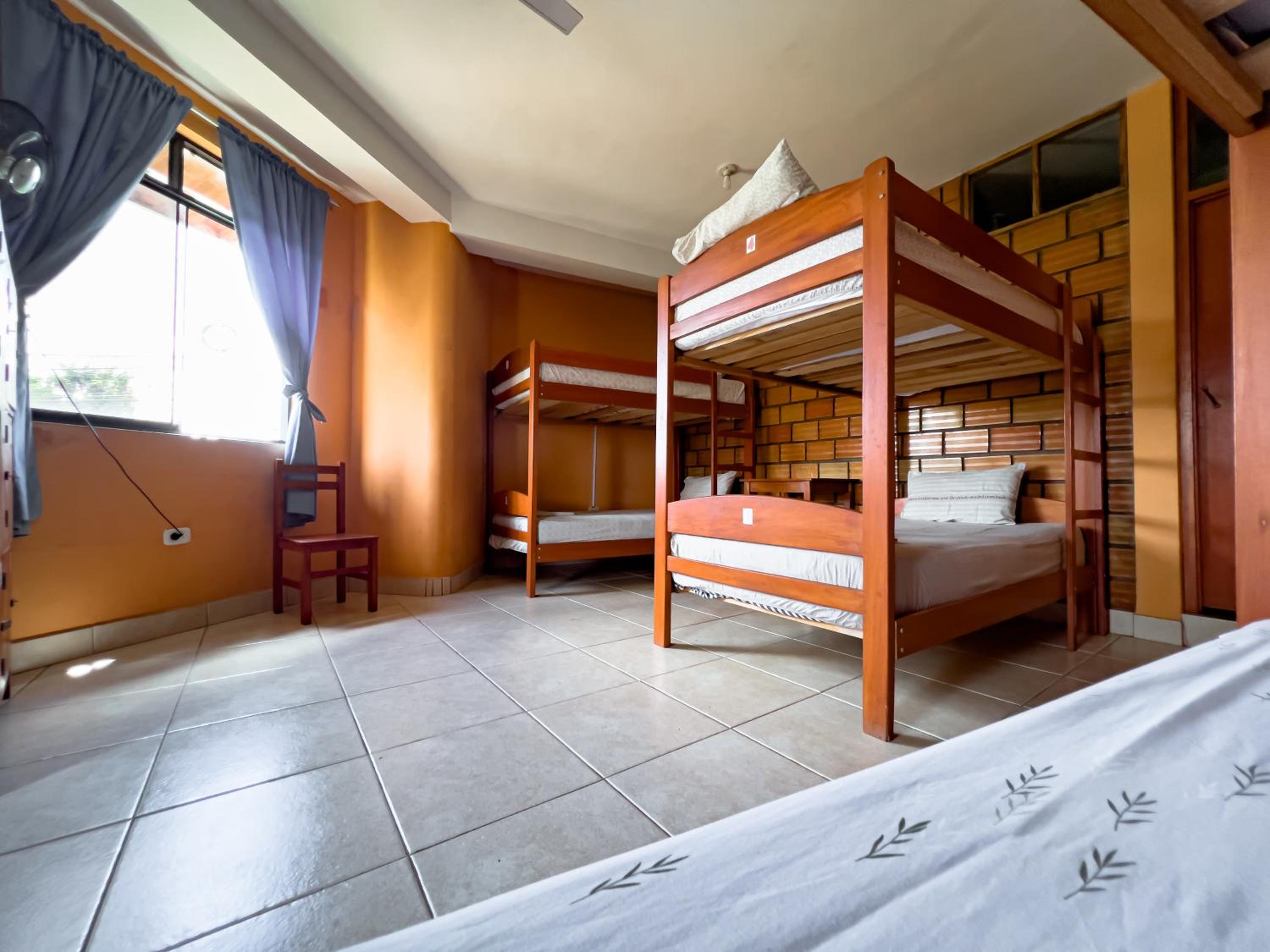 Bed in 6-Bed Mixed Dormitory Room photo 1