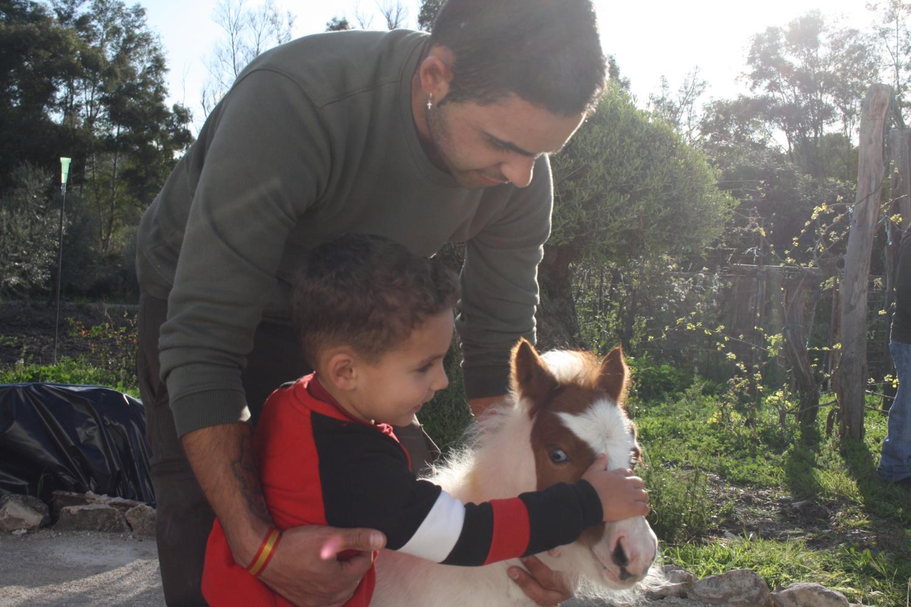 Seven-Bedroom House - Photo 25
