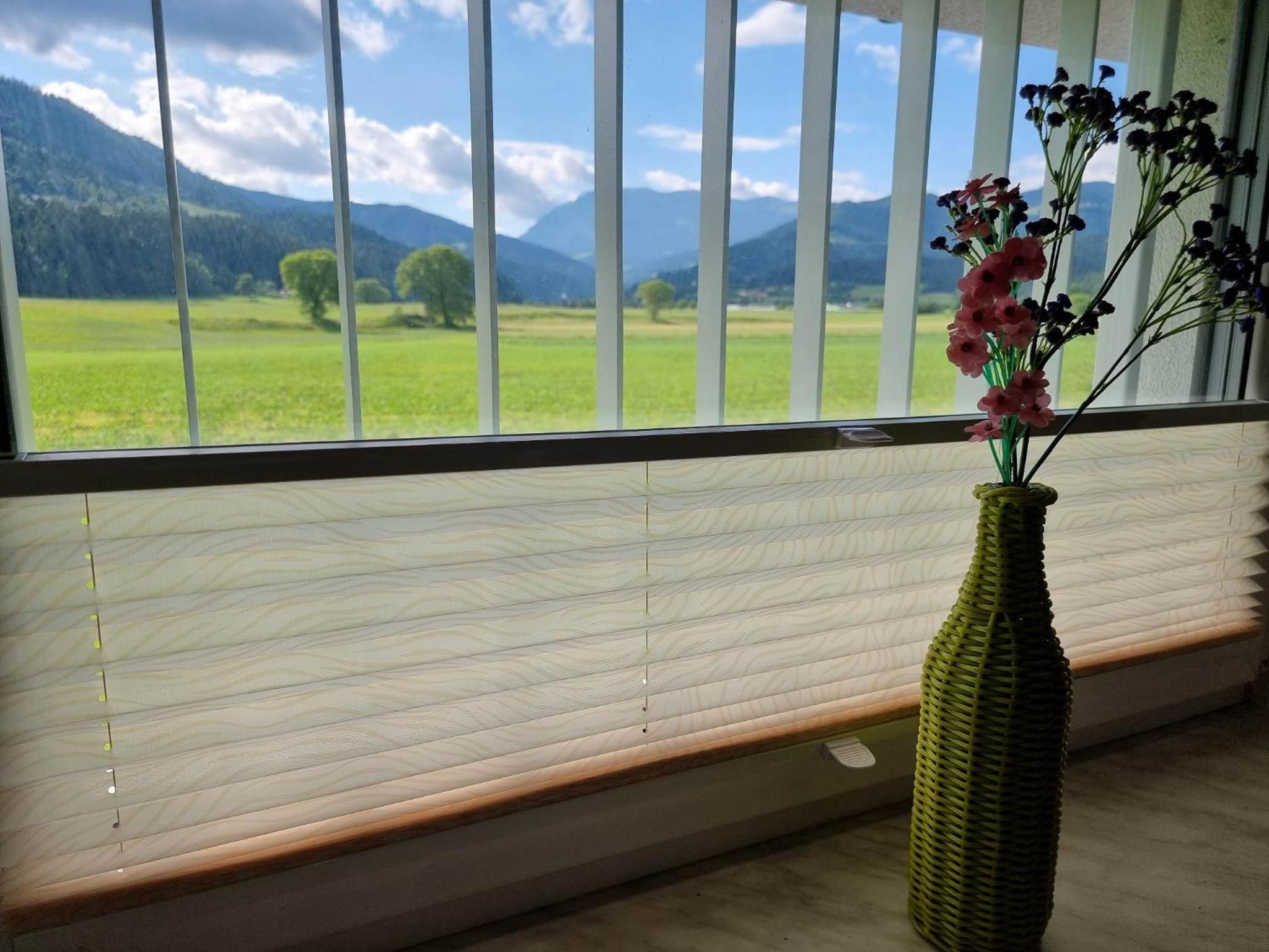 Apartment with Mountain View photo 2