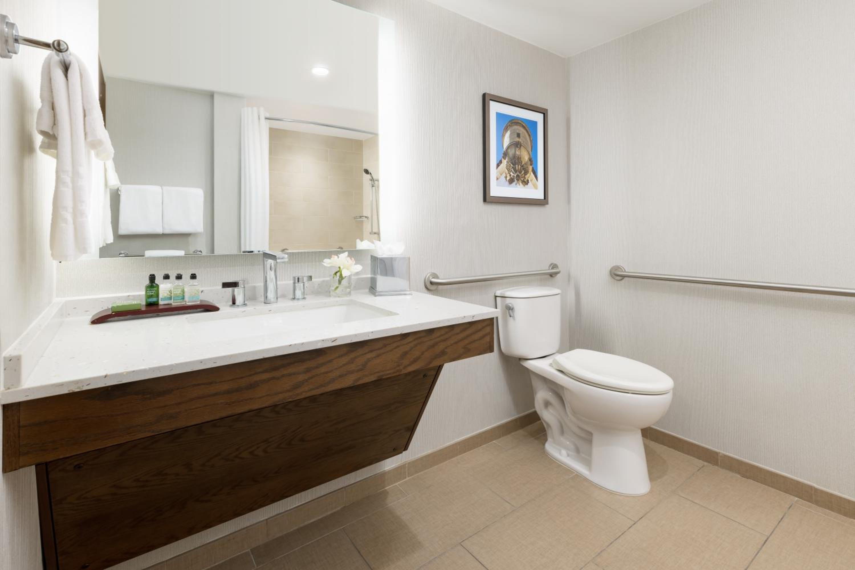 Accessible Queens Premium / Bath Tub With Holding Bar - Photo 7