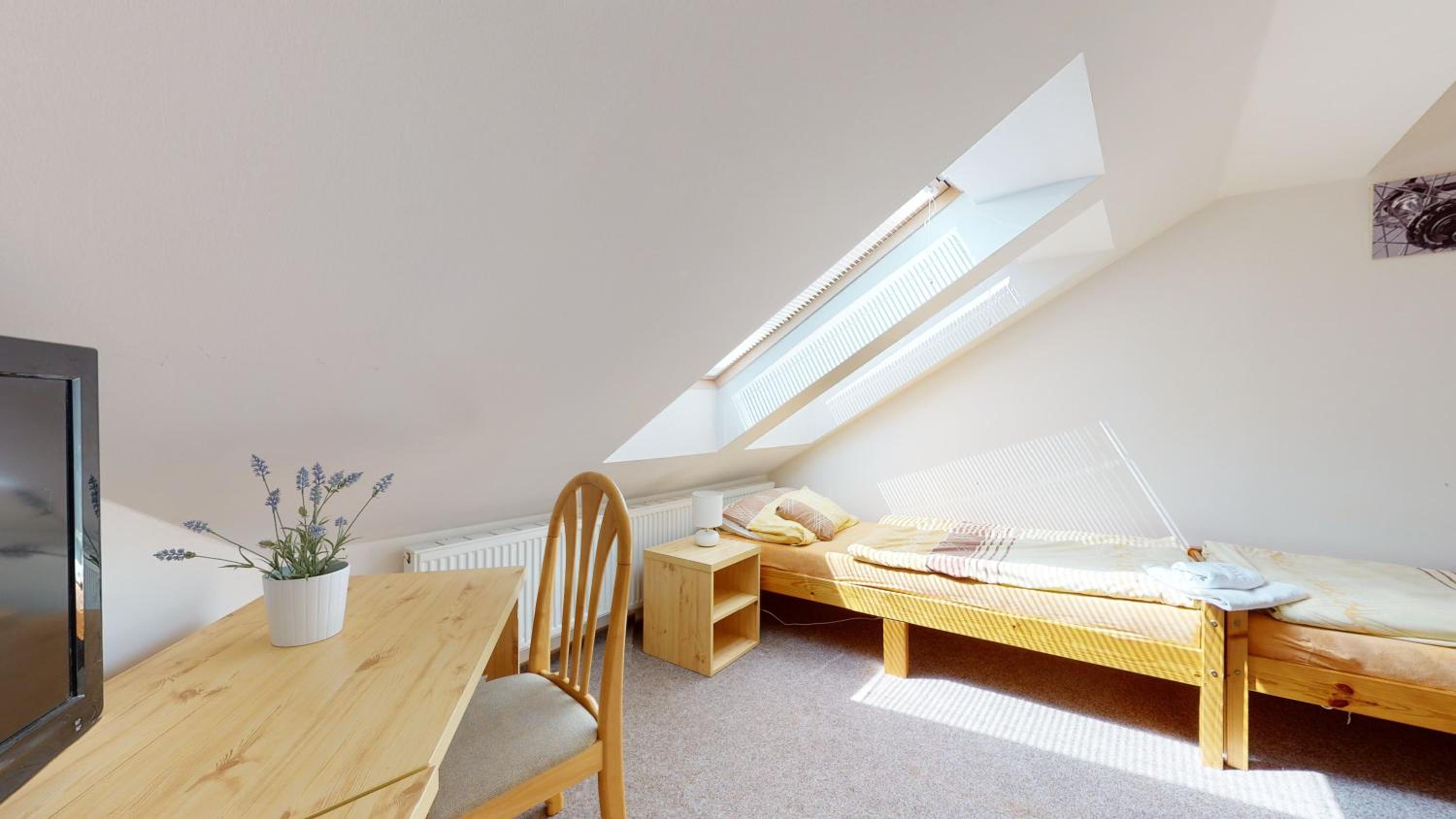 Twin Room photo 3