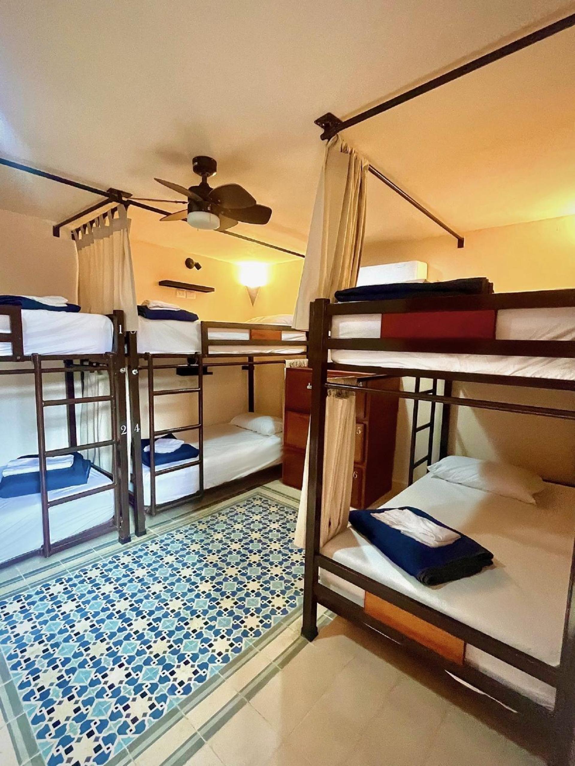 Bed in 6-Bed Female Dormitory Room