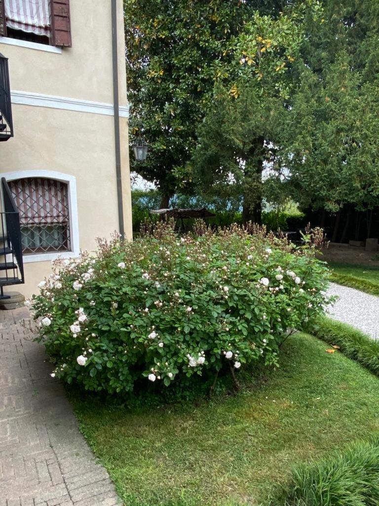 Apartment with Terrace photo 3