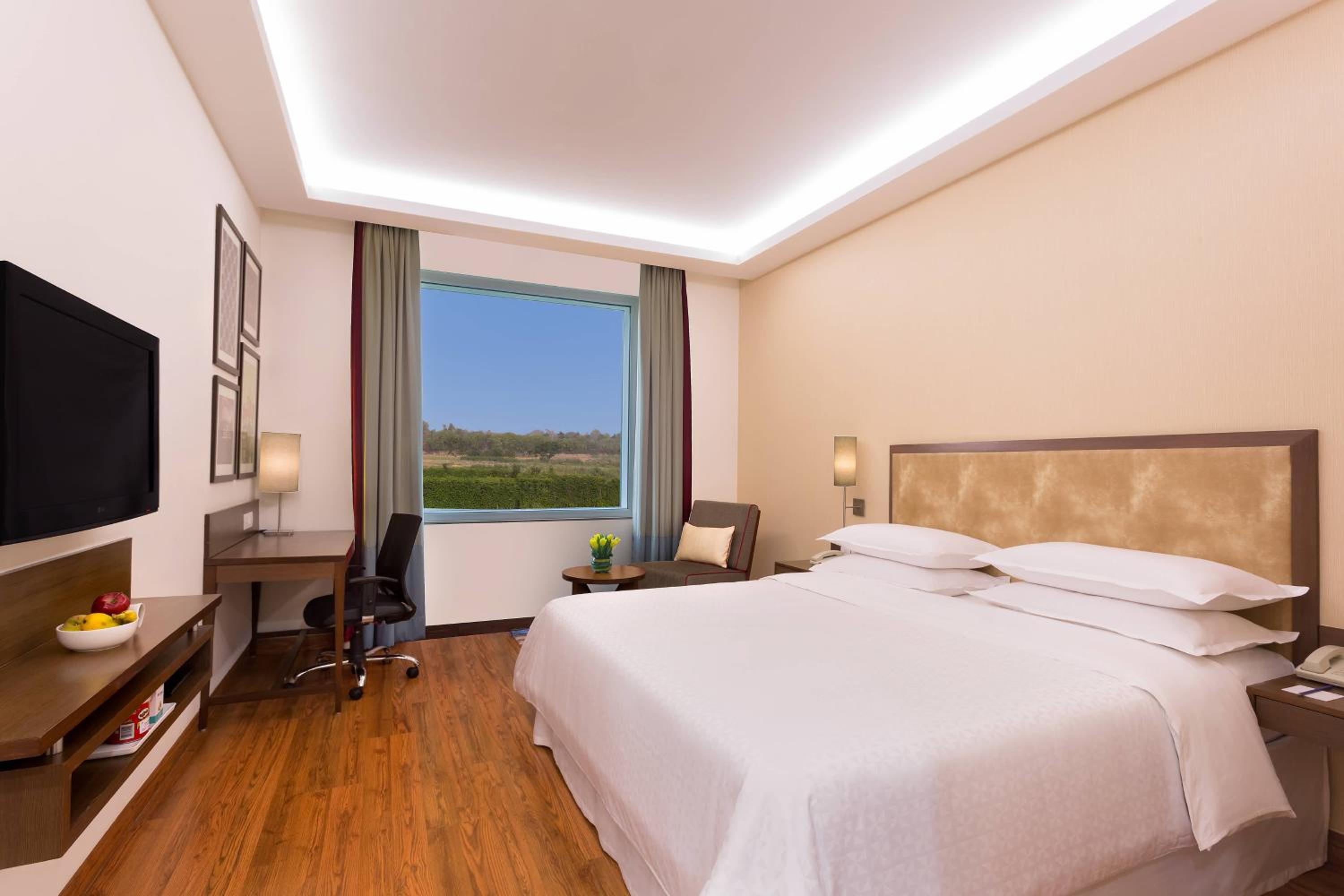 Premier Room  photo 3